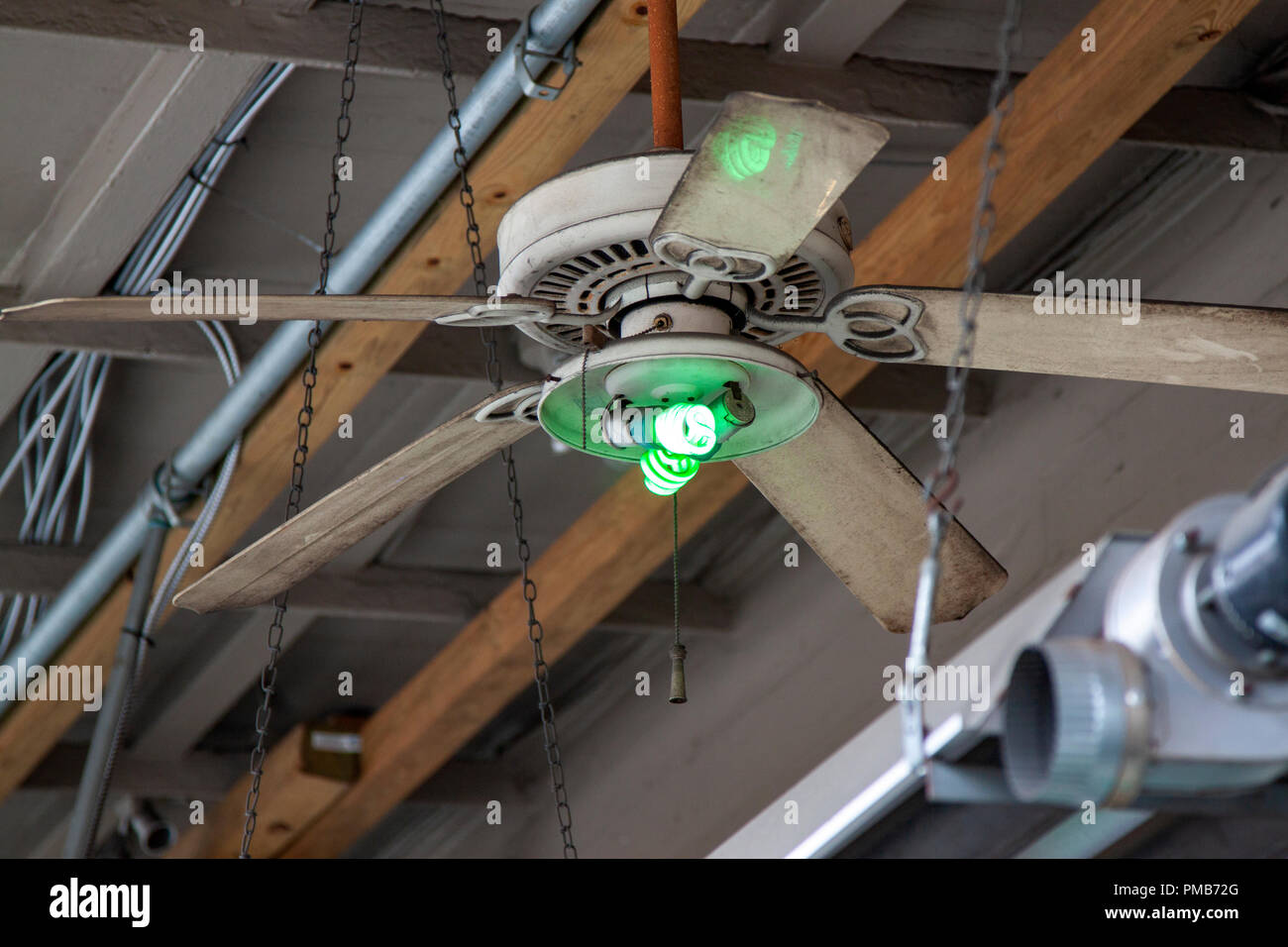 Ventilateur de plafond décoré pour le jour de rue Patrick parade sur Magazine Street à New Orleans Banque D'Images