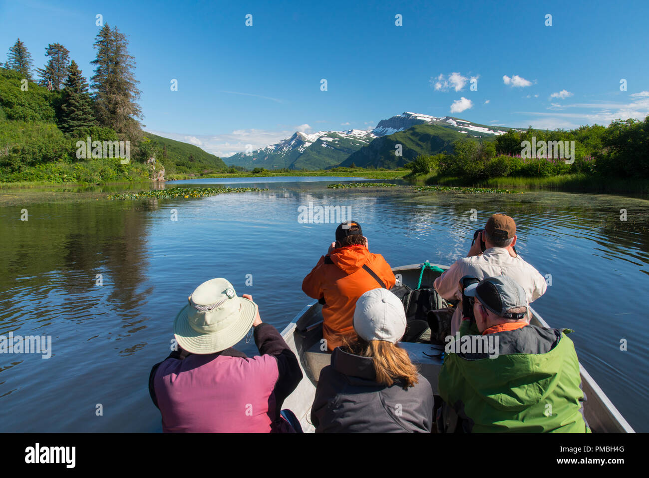 Étang aux Nymphéas, Lake Clark National Park, Alaska. Banque D'Images