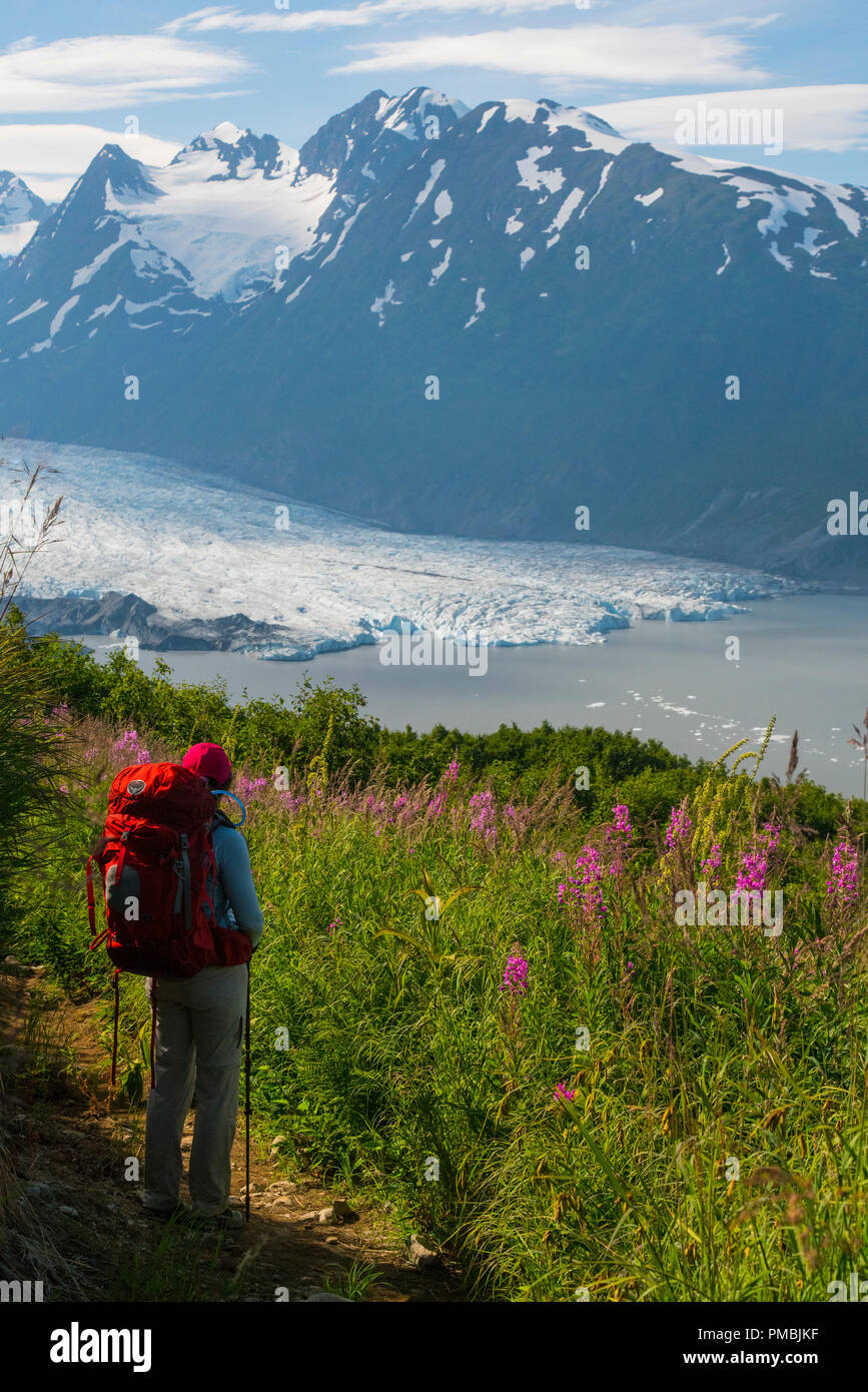 Randonnée au Glacier Spencer cabine, banc, la Forêt Nationale de Chugach Alaska. Banque D'Images