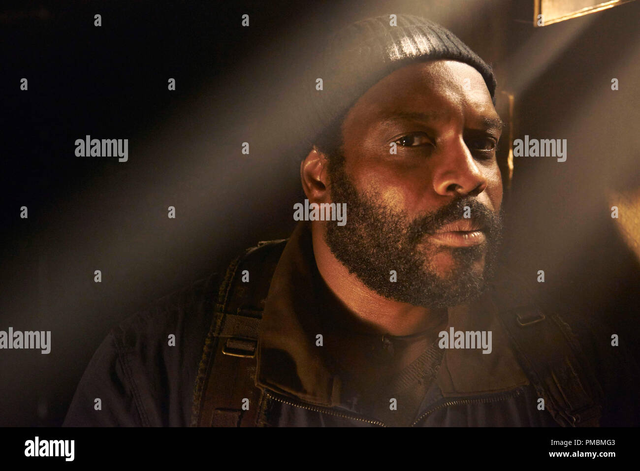 Sonequa Martin-Green Coleman, Tchad, 'The Walking Dead', Saison 5 Banque D'Images