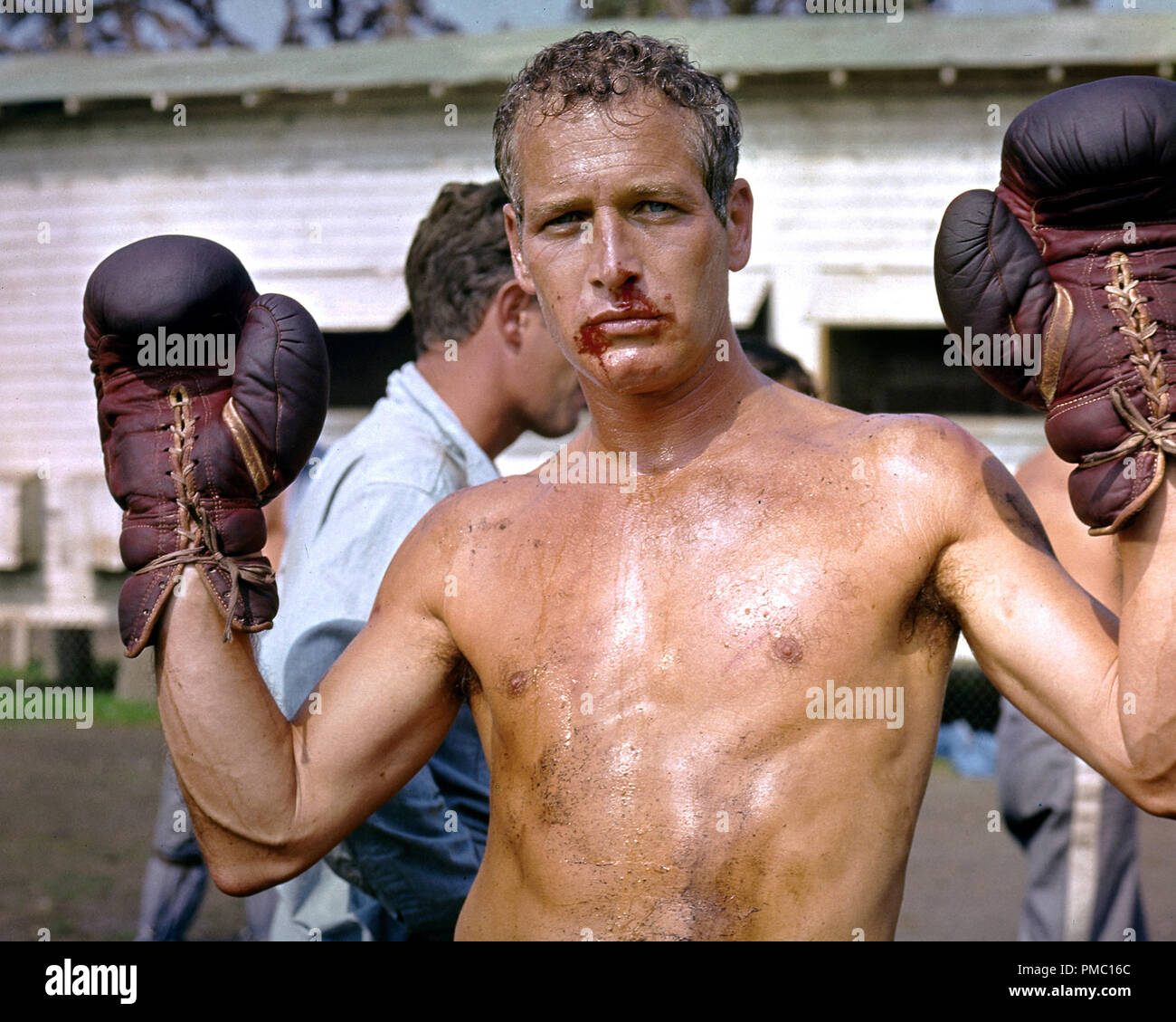 Paul Newman, "Cool Hand Luke" (1967) Warner Bros. de référence de dossier  33595 190 THA Photo Stock - Alamy