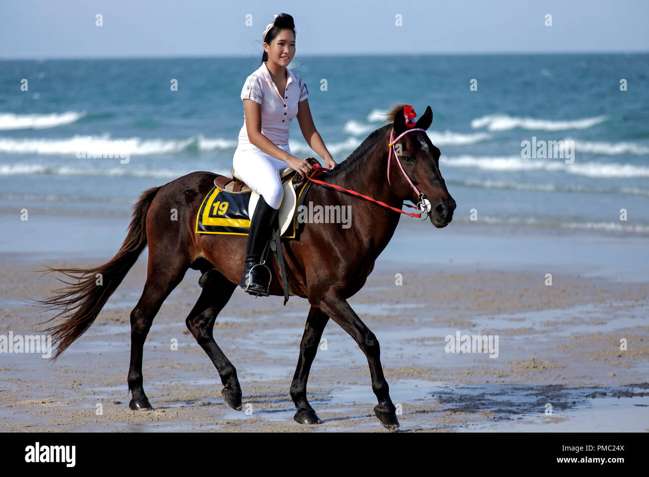Femme cheval plage. Femme à une soirée de dressage de chevaux et de mode équestre sur la plage de Hua Hin Thaïlande Banque D'Images