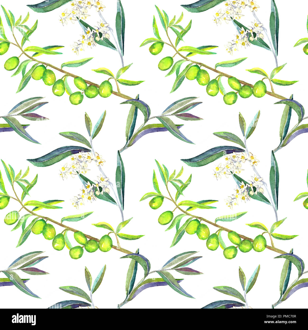 Branches d'olive verte avec des fruits, fleurs et feuilles, un pattern design, illustration aquarelle peinte à la main Banque D'Images