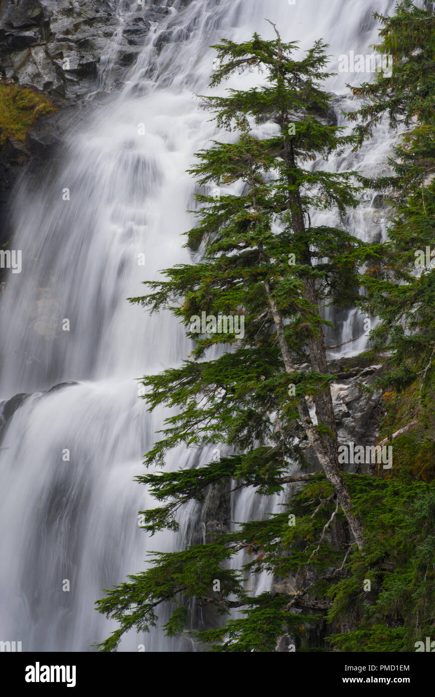 Kasnyku Falls, forêt nationale Tongass en Alaska. Banque D'Images
