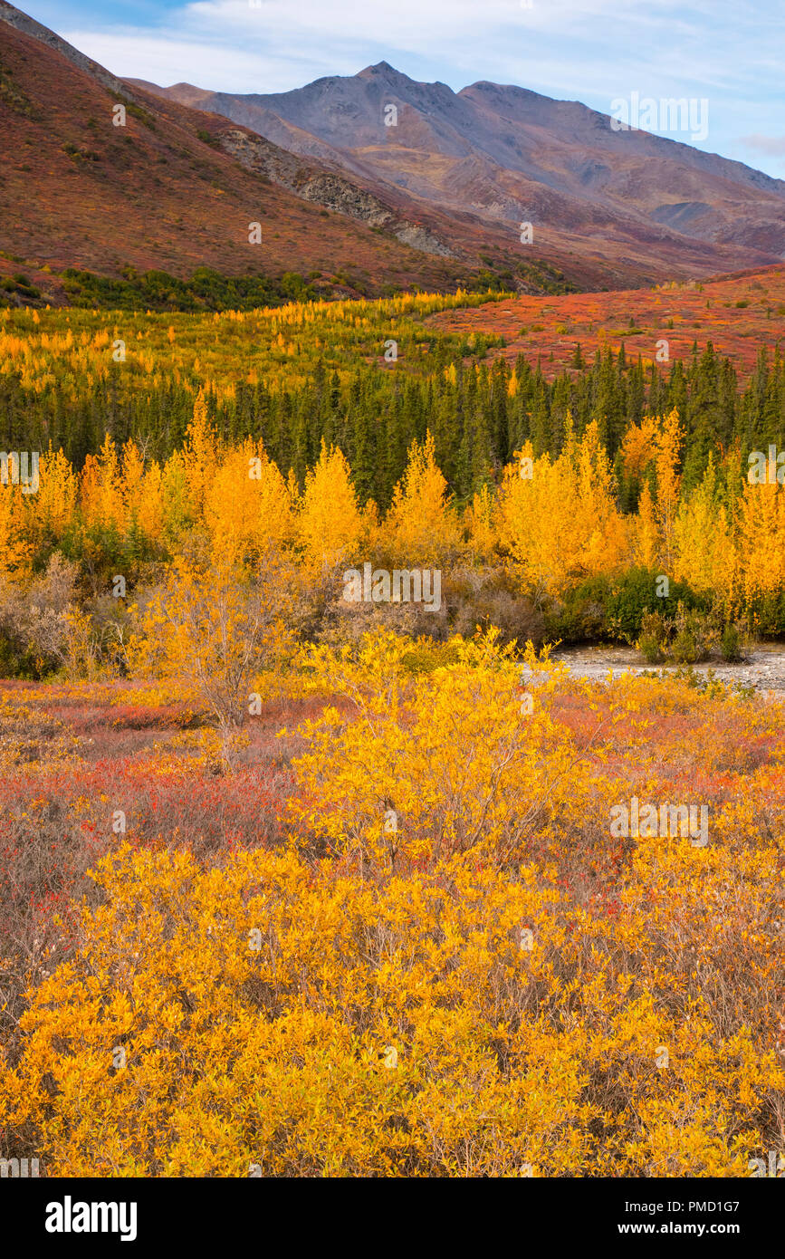 Couleurs d'automne dans la chaîne de Brooks, de l'Arctique de l'Alaska. Banque D'Images