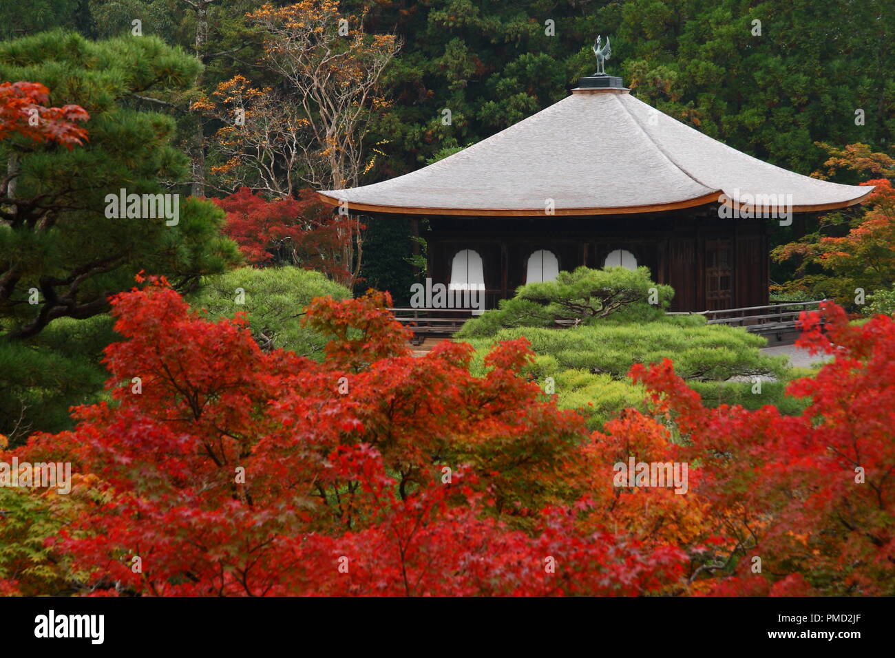 Pavillon de l'argent à Kyoto au cours de l'automne Banque D'Images