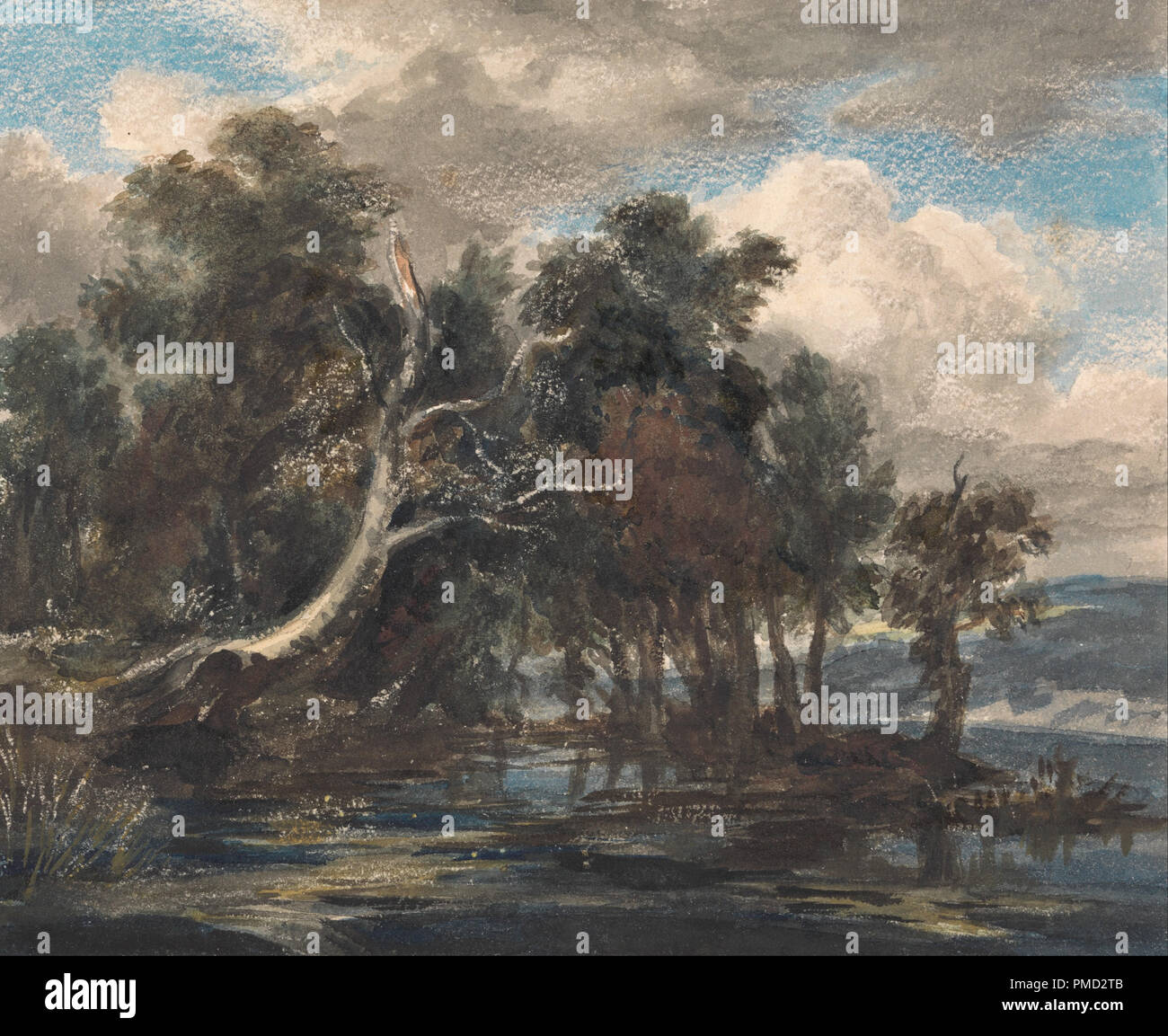 Les arbres en une rivière, ciel nuageux. La peinture. L'aquarelle. Hauteur : 171 mm (6,73 in) ; Largeur : 213 mm (8,38 in). Auteur : Inconnu. Banque D'Images