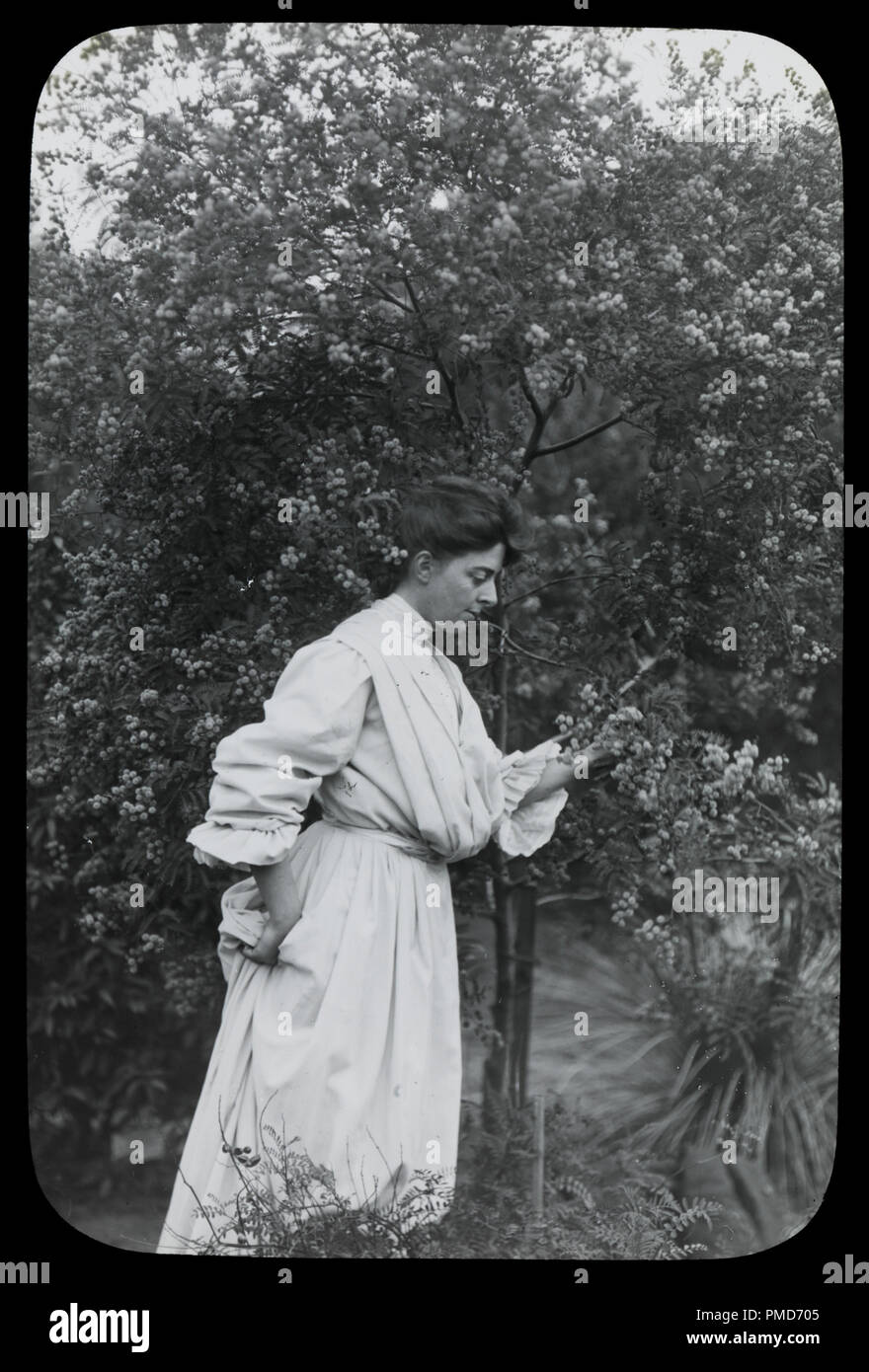Amy Campbell avec barbe. Date/période : 1921 - 1922. L'image. Photo Photo. Auteur : James Archibald Campbell. Banque D'Images
