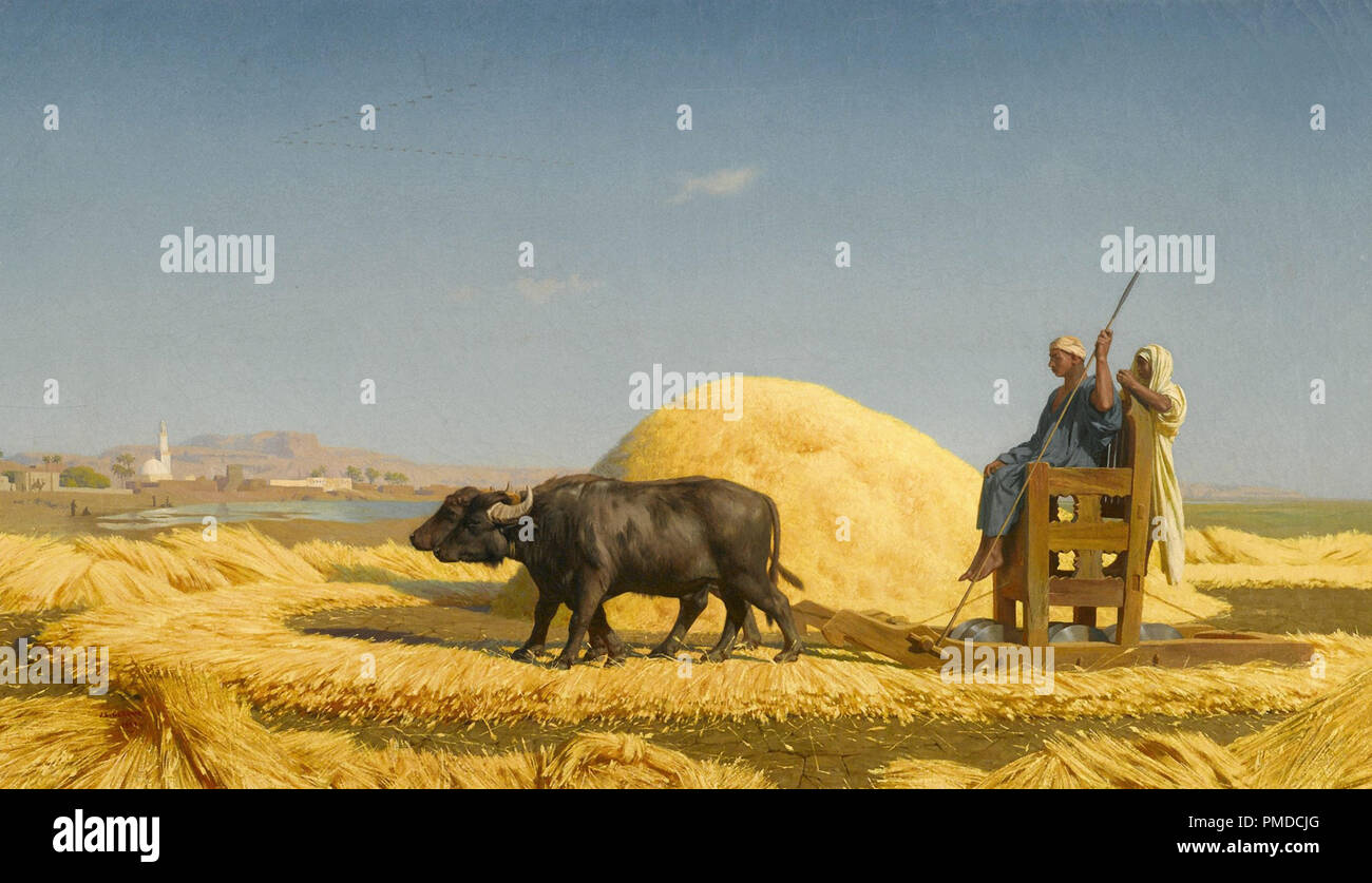 Tableau Napoléon En Égypte - Jean-Léon Gérôme - Impression Sur Toile De Qualité Musée