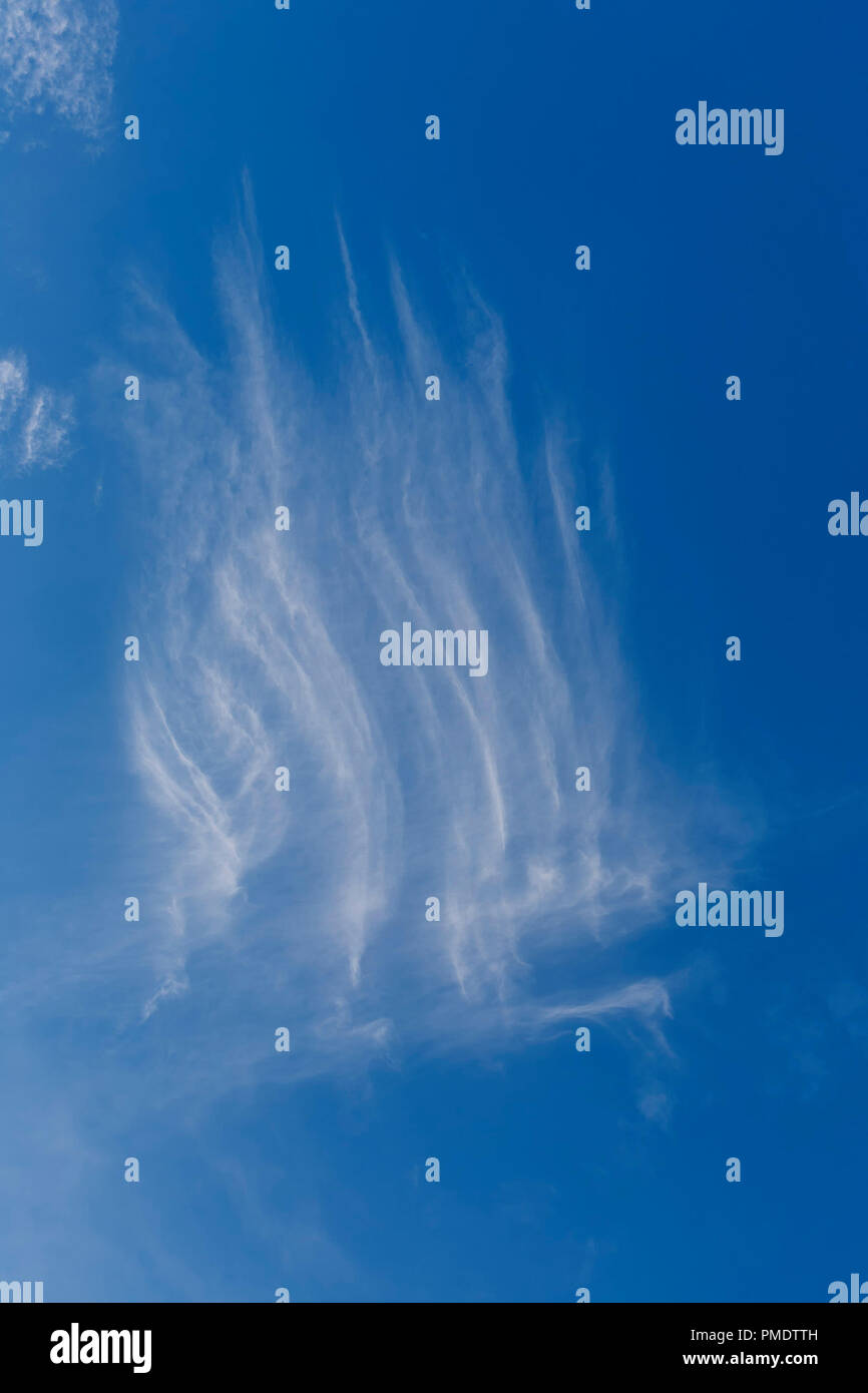 Les cirrus magnifique contre le ciel bleu comme un arrière-plan naturel, vertical Banque D'Images