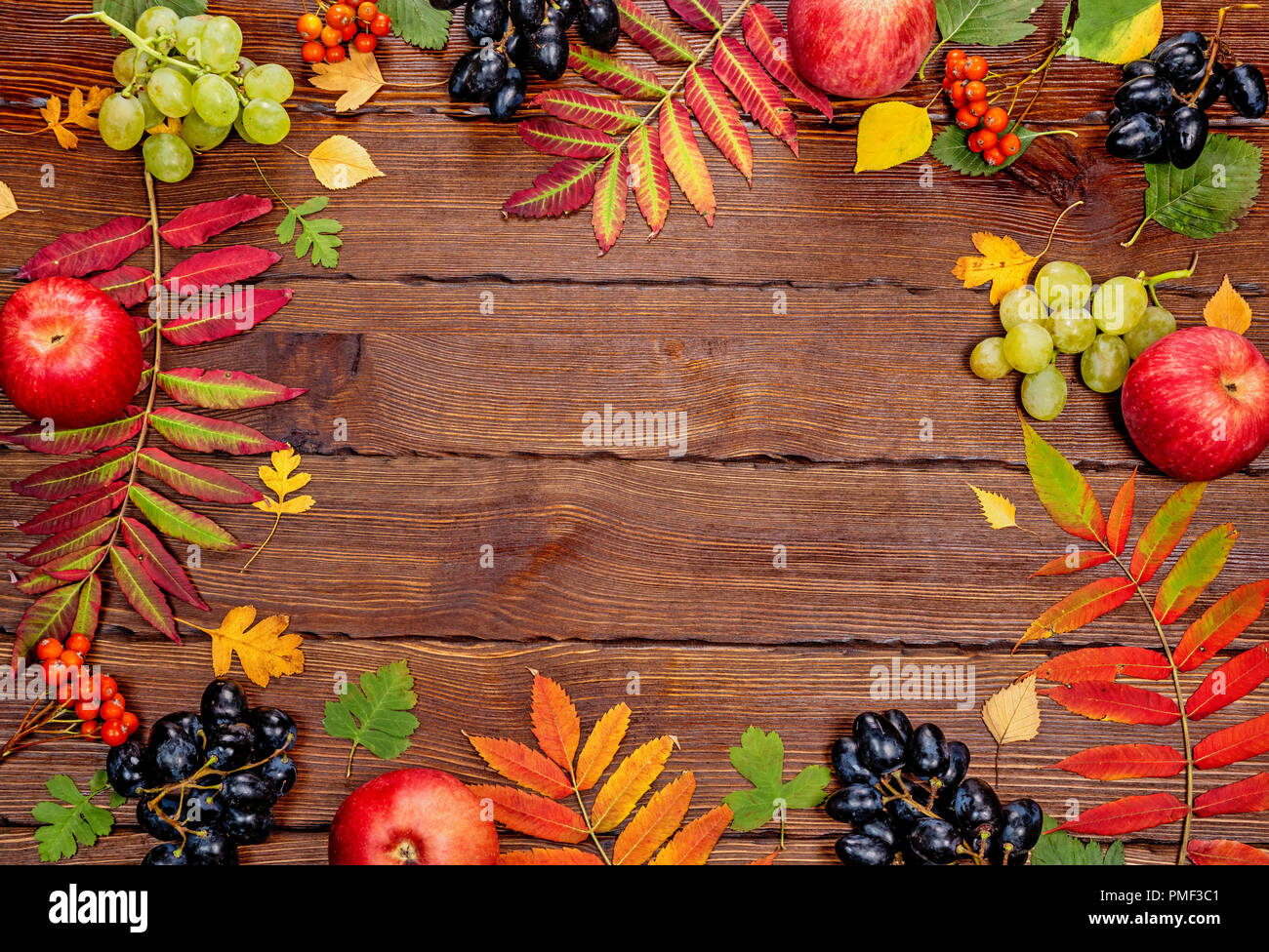 Automne fond avec du jaune, avec des feuilles, des pommes de pin, de châtaignes et de baies. La récolte d'automne sur châssis bois assaisonné avec de l'espace libre. Le layou Banque D'Images