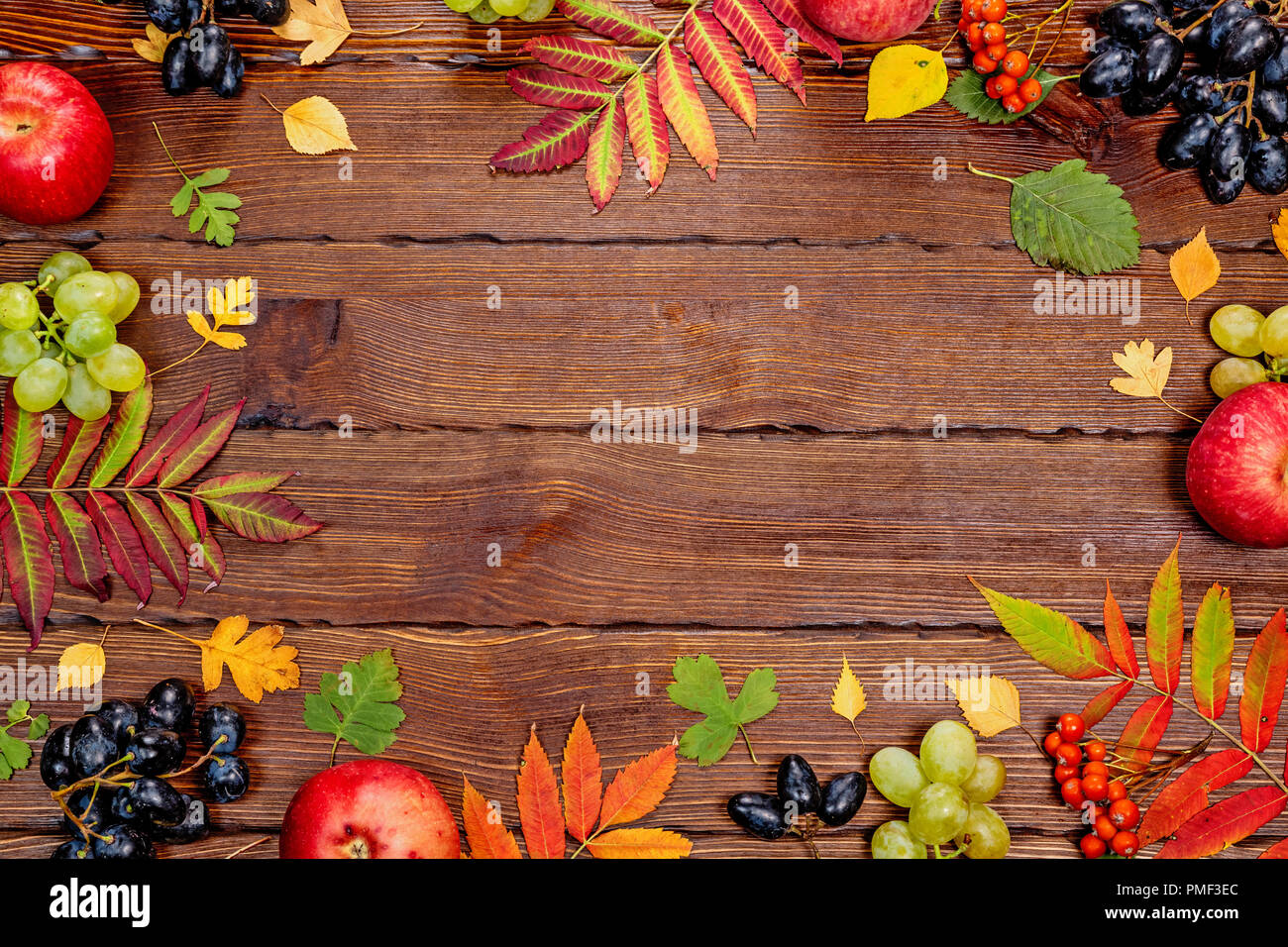 Automne fond avec du jaune, avec des feuilles, des pommes de pin, de châtaignes et de baies. La récolte d'automne sur châssis bois assaisonné avec de l'espace libre. Le layou Banque D'Images