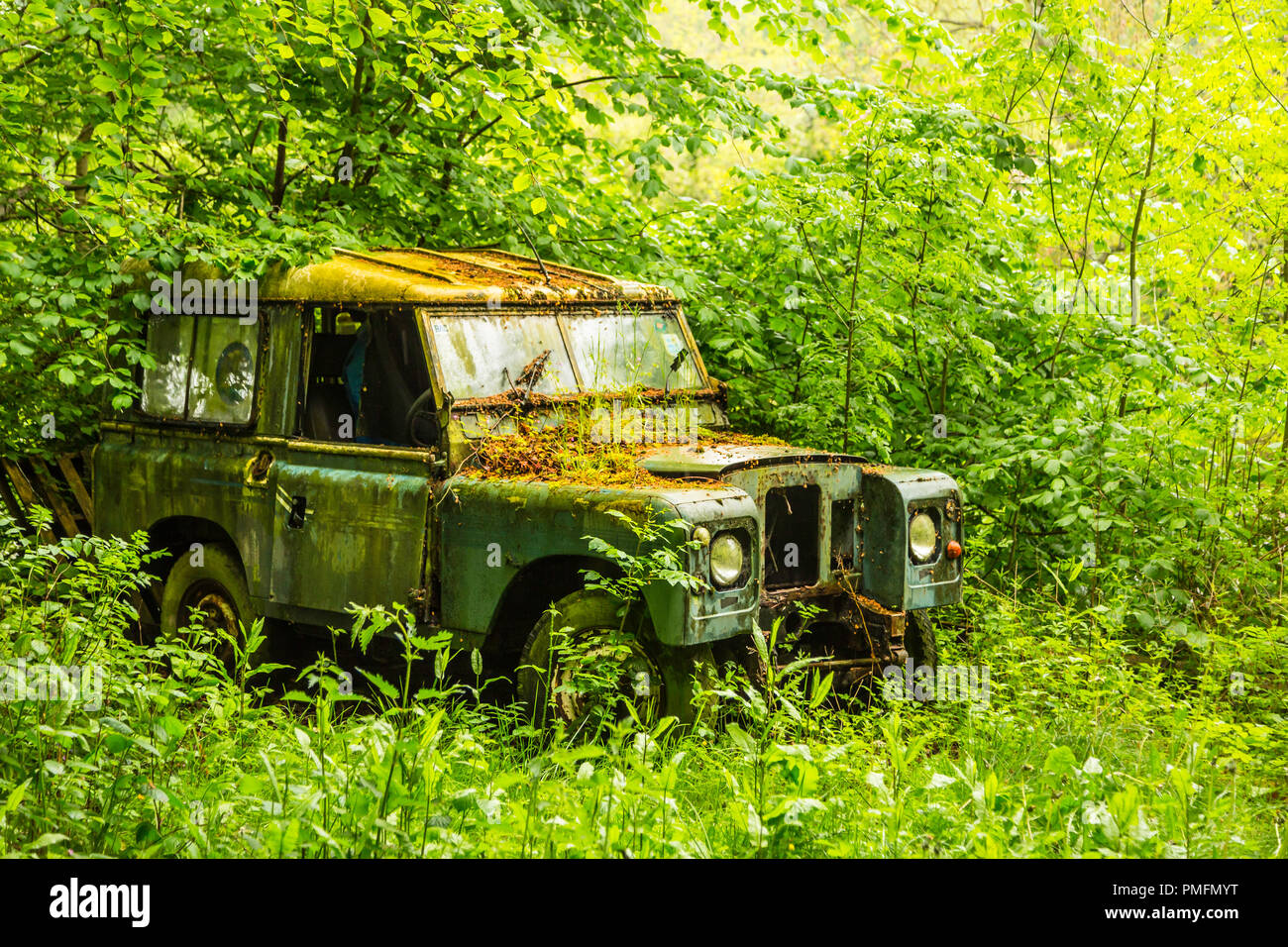 Un vieux Land Rover est repris par la nature. Banque D'Images