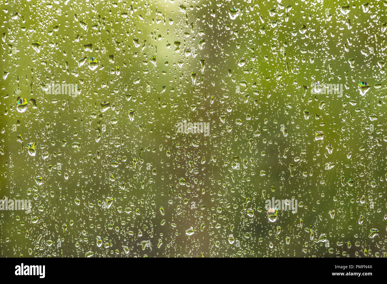 Gouttes de pluie sur une fenêtre de verdure derrière. Banque D'Images