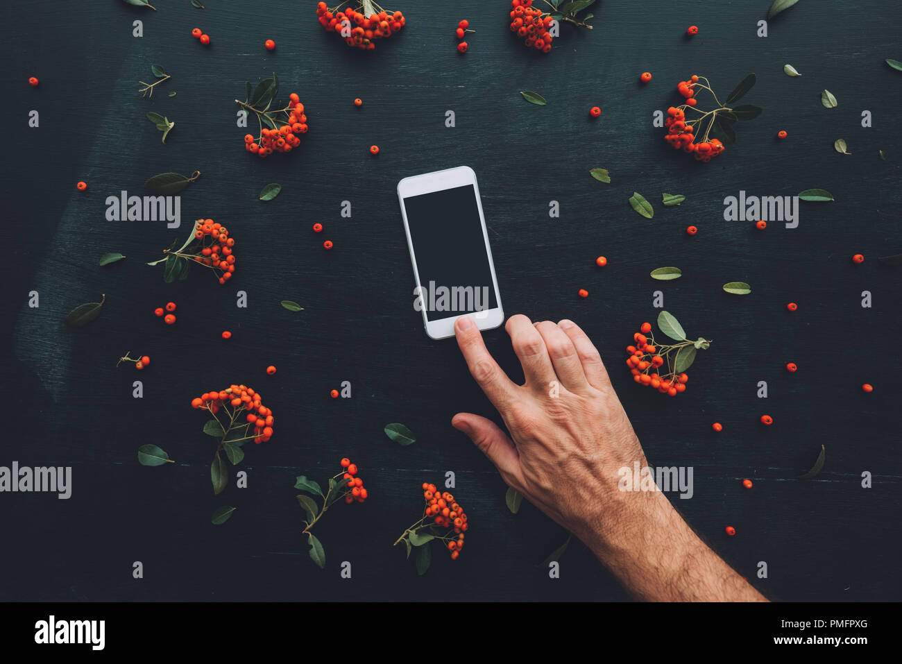 Mise à plat la main à l'aide de l'écran du smartphone des maquettes sur fond sombre avec arrangement de fleurs Banque D'Images