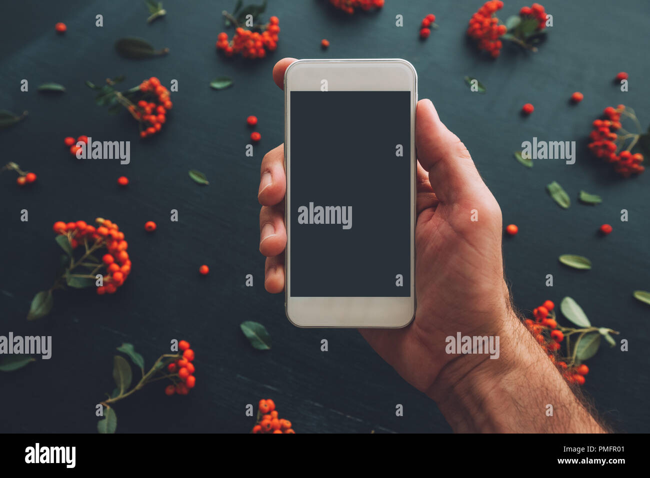 La main à l'aide de l'écran du smartphone des maquettes sur fond sombre avec arrangement de fleurs Banque D'Images