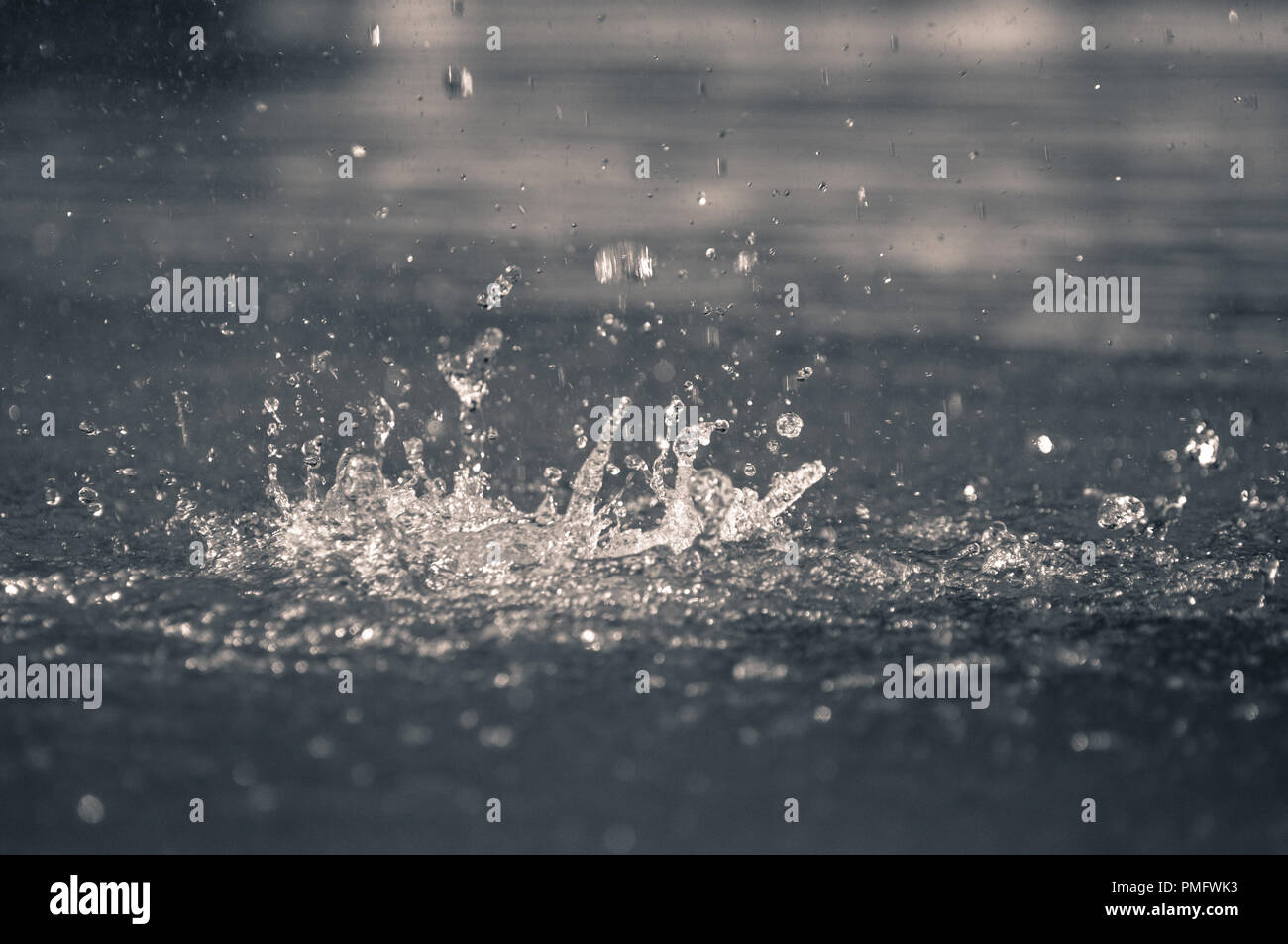 Photo en noir et blanc de l'eau étang avec des gouttelettes de saut Banque D'Images