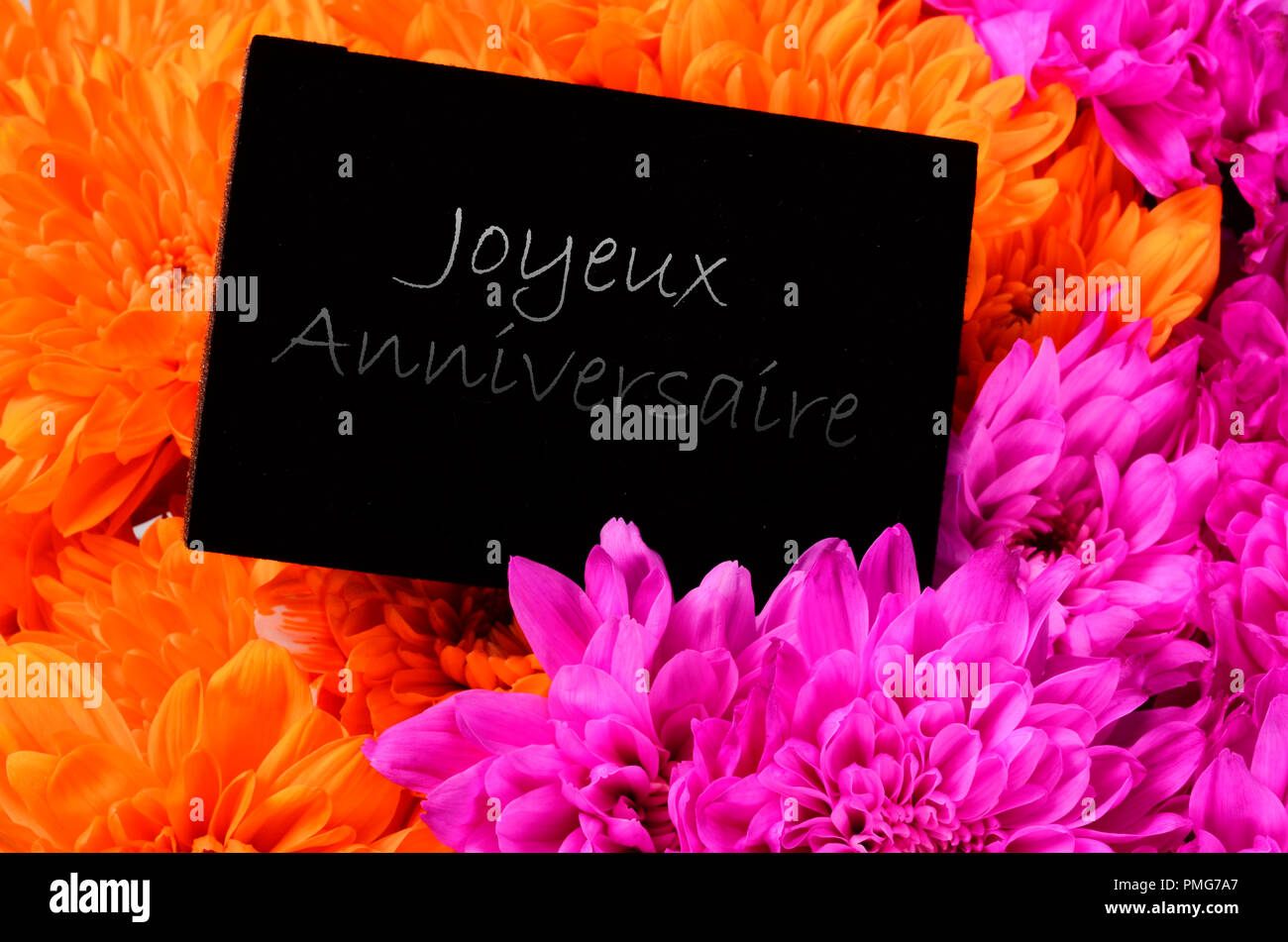 Orange et rose fleur aster, et de carton noir pour joyeux anniversaire bonjour, mots français Banque D'Images