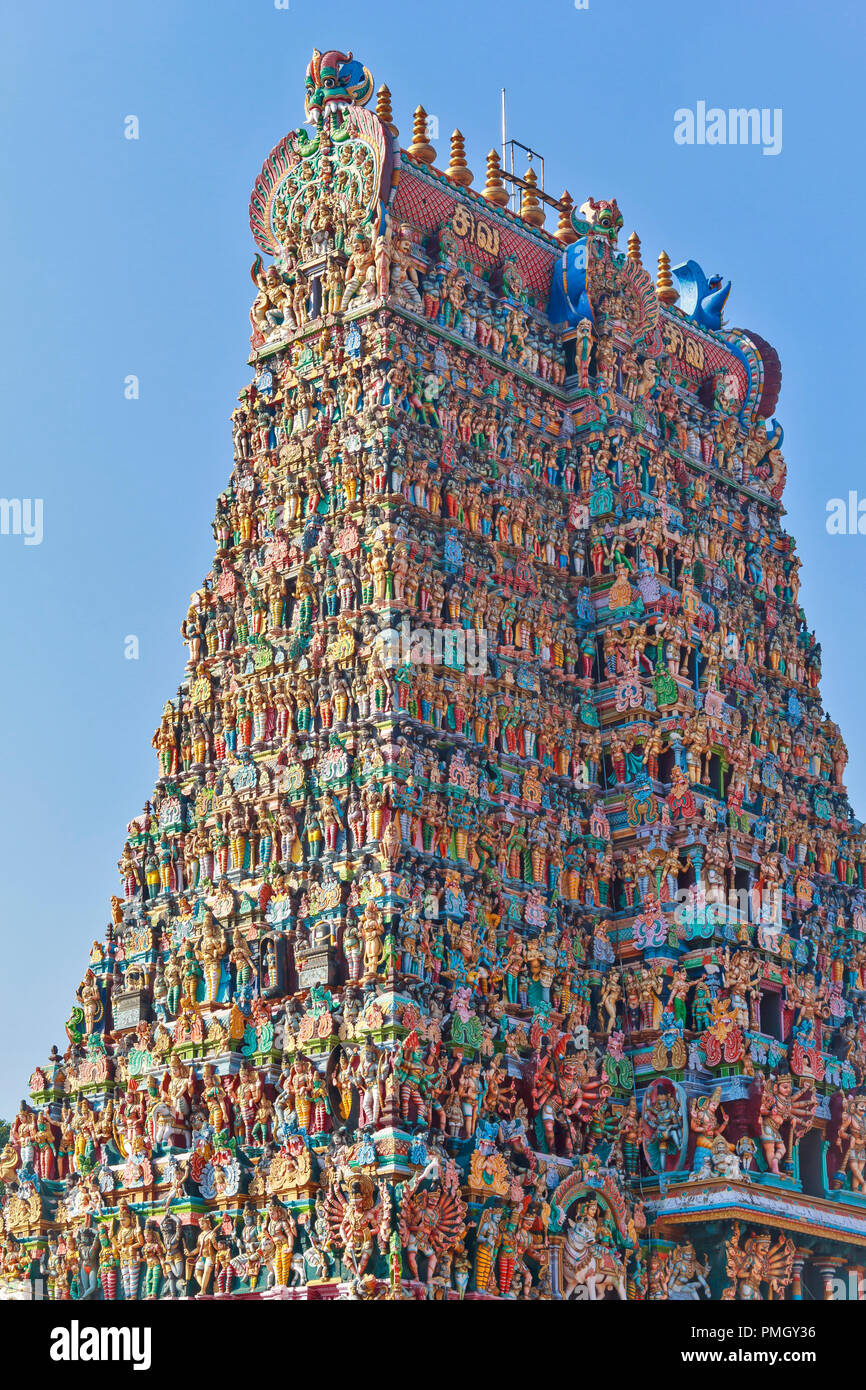 MEENAKSHI TEMPLE Madurai Tamil Nadu INDE STATUES DES DIEUX COUVRIR LES CÔTÉS D'UNE TOUR DU TEMPLE Banque D'Images
