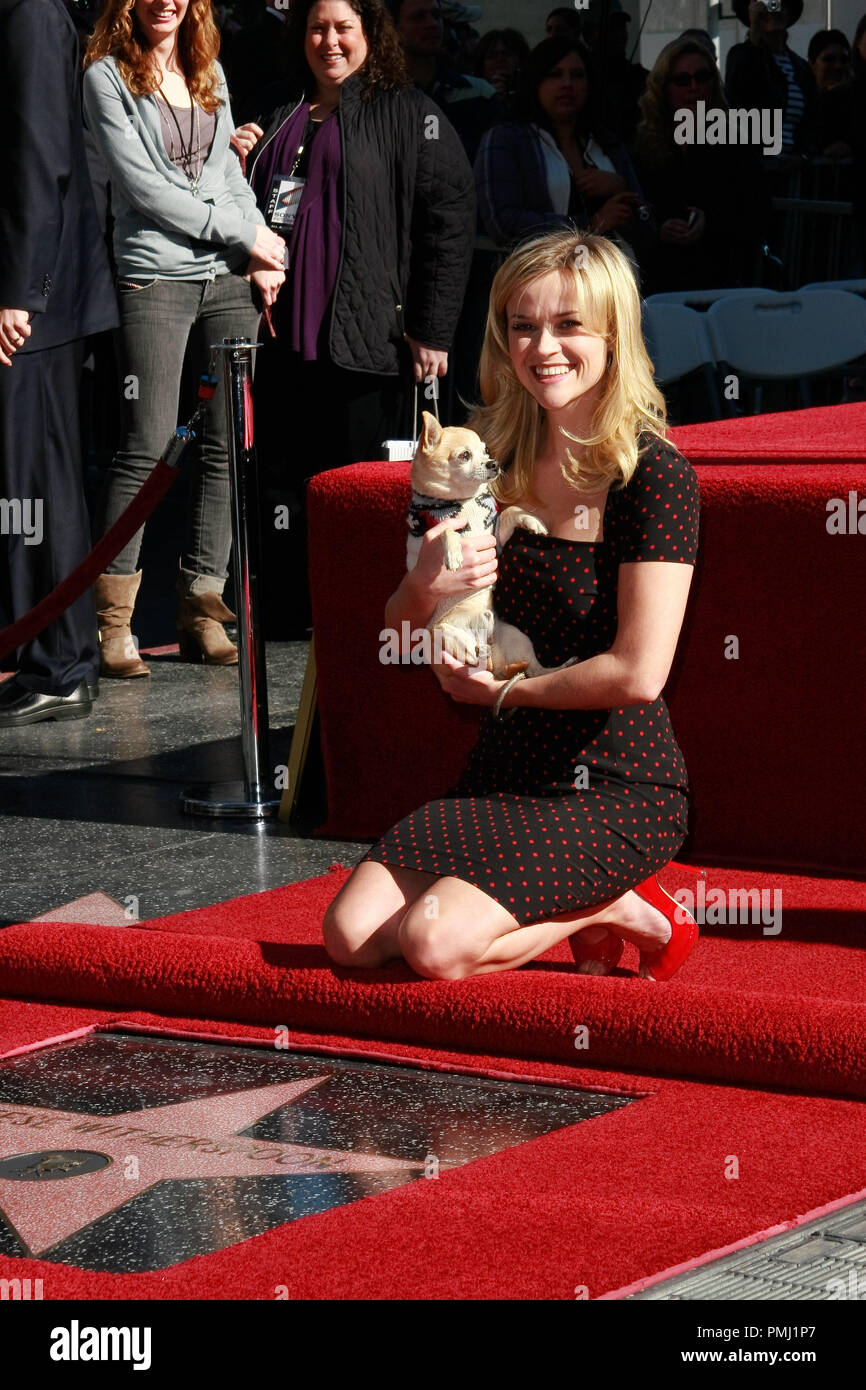 Reese Witherspoon à la Chambre de commerce de Hollywood cérémonie en l'honneur de son avec une étoile sur le Hollywood Walk of Fame à Hollywood, CA, 1 décembre 2010. © Joseph Martinez/Picturelux - Tous droits réservés / PictureLux 30731 Numéro de référence de dossier 024PLX pour un usage éditorial uniquement - Tous droits réservés Banque D'Images