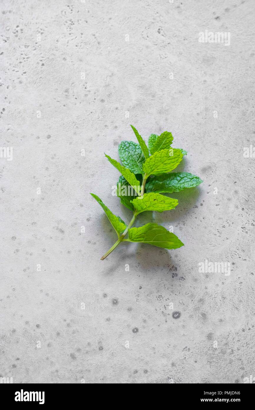 Feuilles de menthe fraîche Banque D'Images