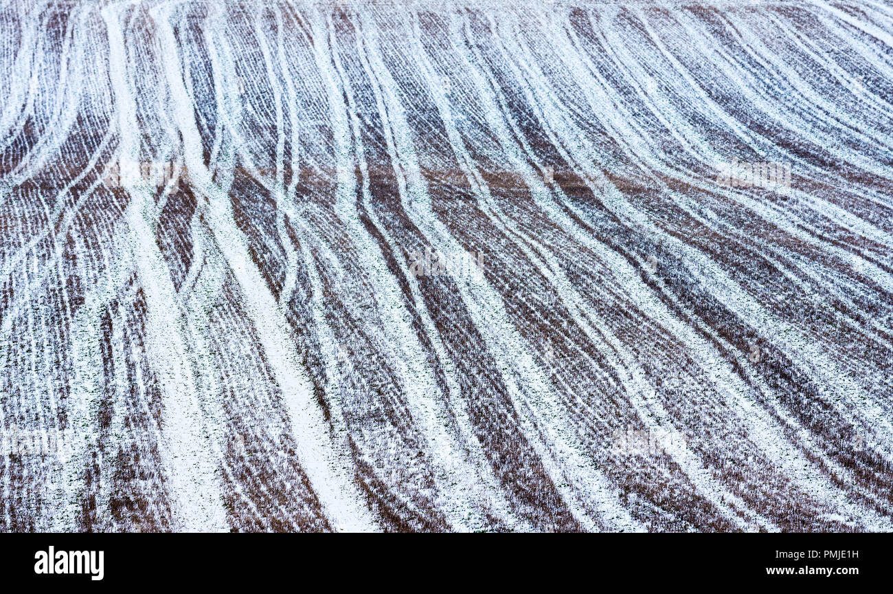 La neige a couvert les terres agricoles montrant les passages précédents de machines agricoles - France. Banque D'Images