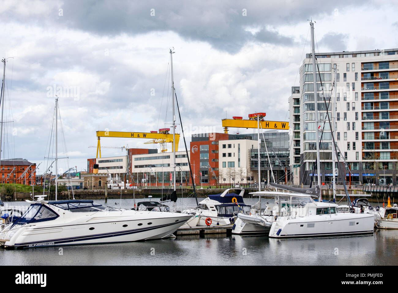 Yachts de plaisance à Belfast avec les grues Harland and Wolff, Samson et Goliath derrière. Cette zone a subi la régénération massive au cours des dernières années. Banque D'Images