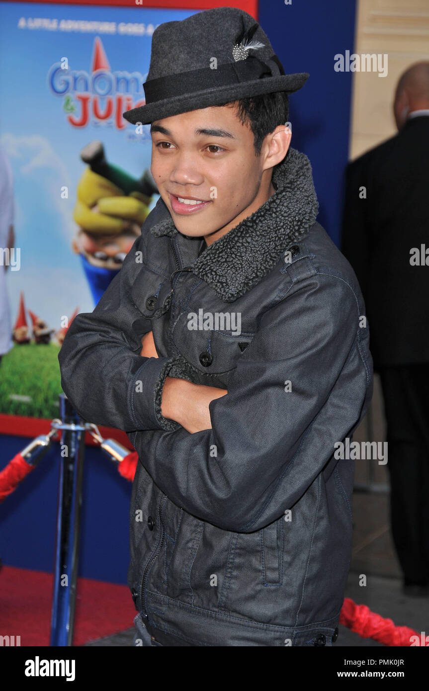 Roshon Fegan lors de la première mondiale de 'Gnomeo & Juliet' tenue à l'El Capitan Theatre à Hollywood, CA. L'événement a eu lieu le dimanche 23 janvier 2011. Photo de RPAC Pacifique Photo Presse/ PictureLux Banque D'Images