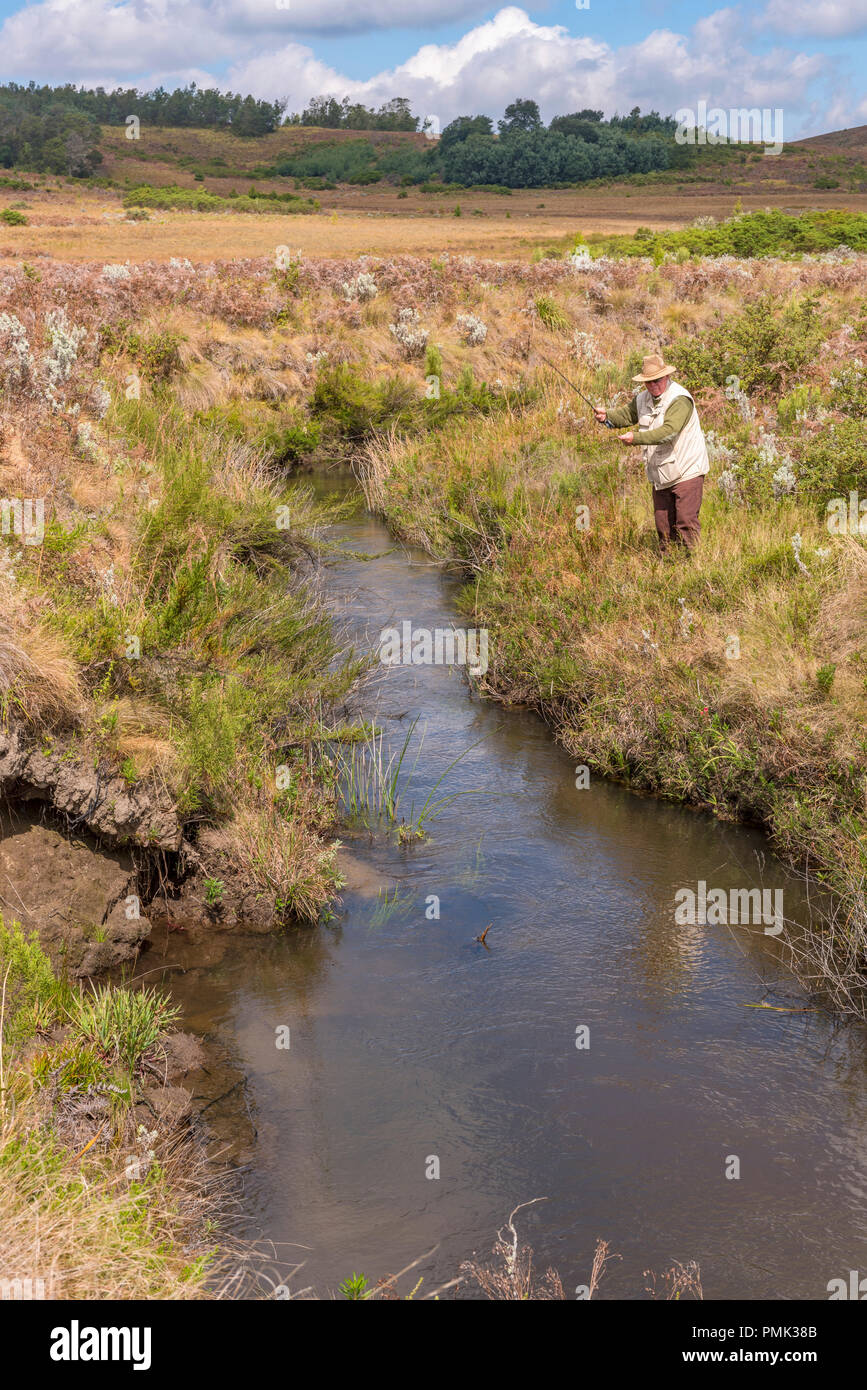 Un pêcheur de mouche jette dans une rivière sauvage au Zimbabwe's eastern highlands. Banque D'Images