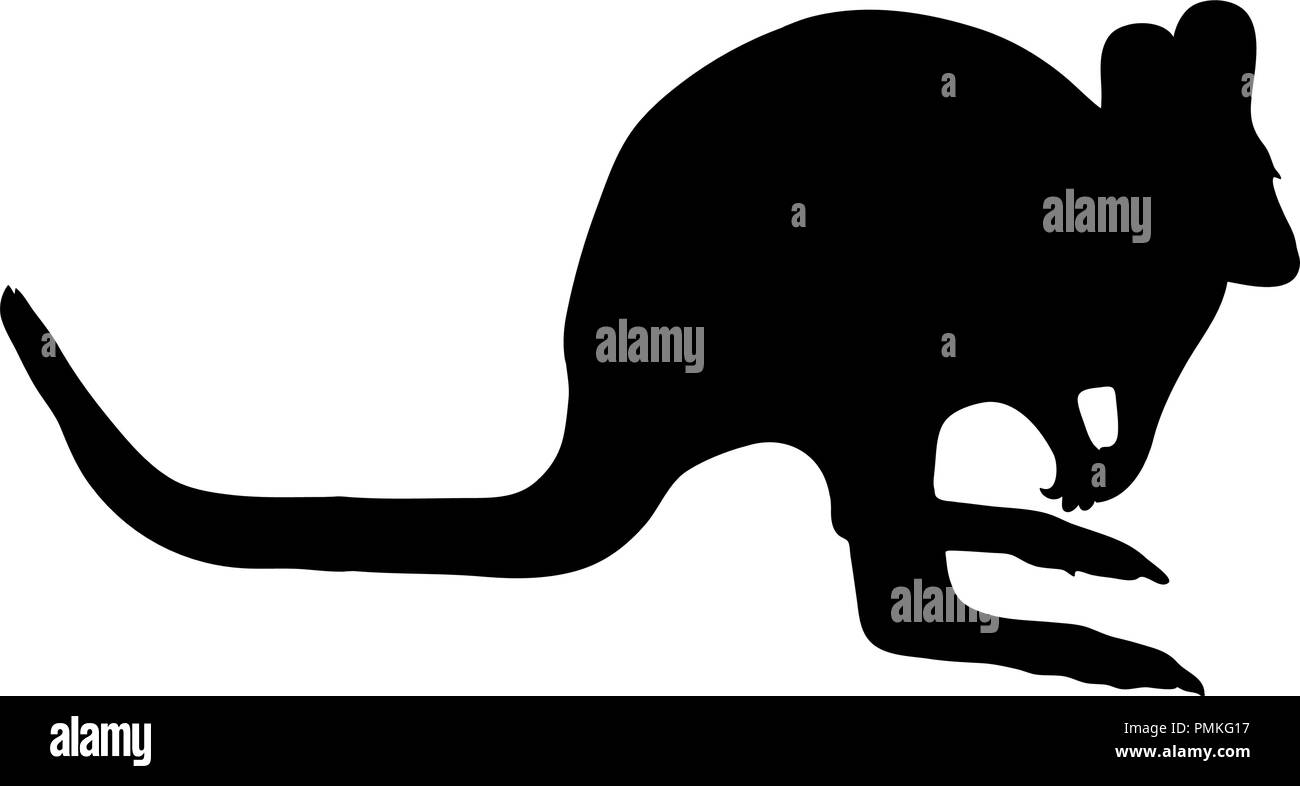 Silhouette d'un Handdrawn numériquement kangaroo Illustration de Vecteur