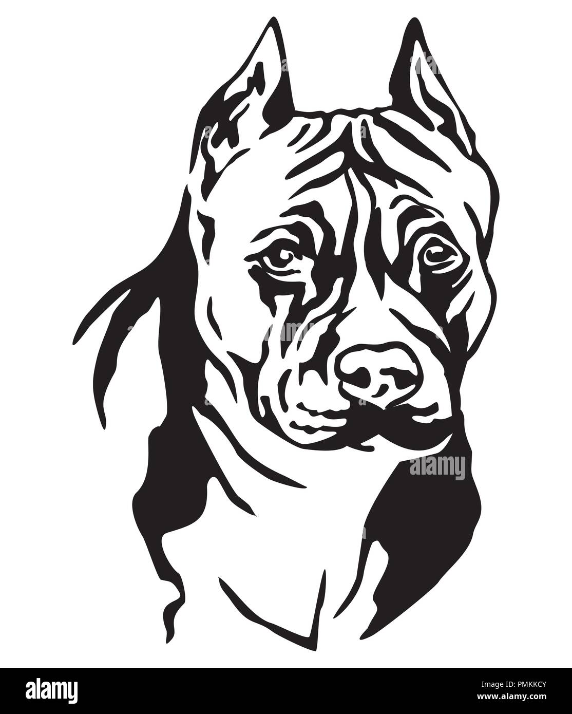Portrait de décoration de chien American Staffordshire Terrier, vector illustration en couleur noir isolé sur fond blanc Illustration de Vecteur