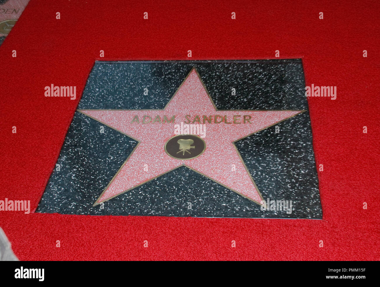 À la Chambre de commerce de Hollywood cérémonie en l'honneur de Adam Sandler avec une étoile sur le Hollywood Walk of Fame à Hollywood, CA, le 1 février 2011 Photo par Joe Martinez / PictureLux Banque D'Images