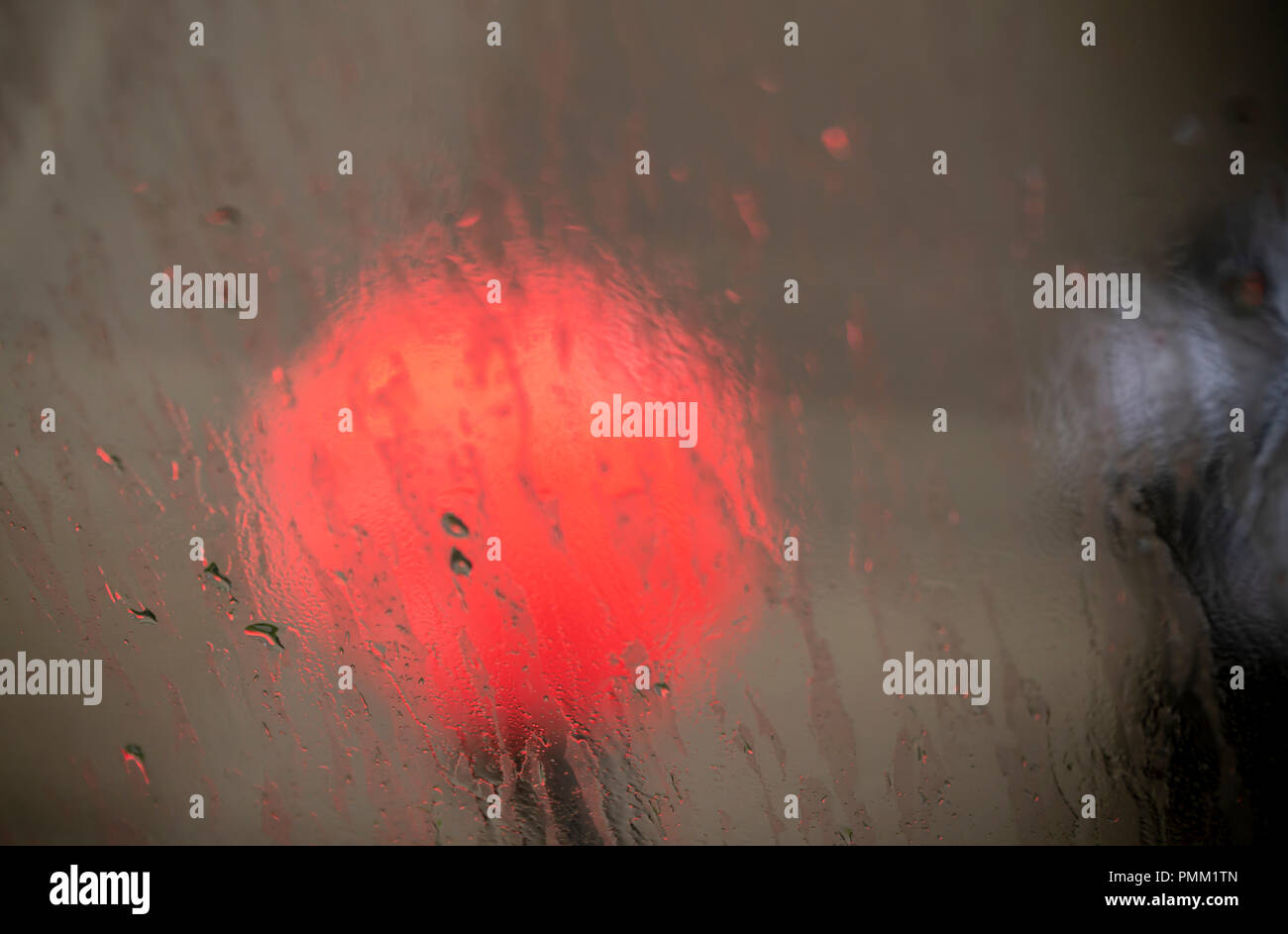 Un parapluie femme protégée promenades dans une pluie torrentielle causés par l'ouragan Florence voyageant au nord dans le quartier de Chelsea à New York, le mardi 18 septembre 2018. (Â© Richard B. Levine) Banque D'Images
