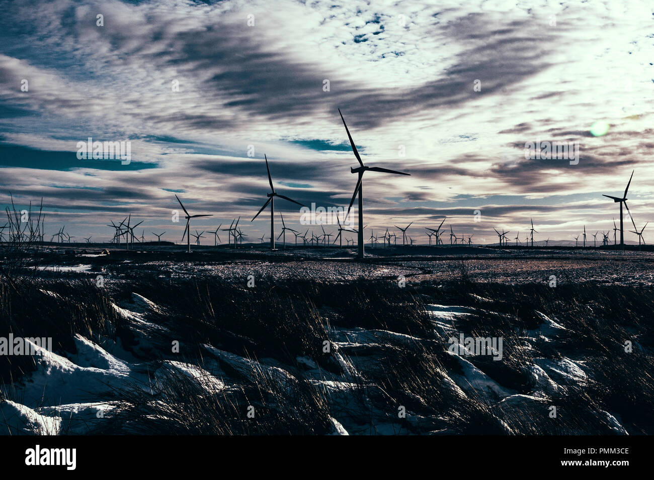 Éoliennes à Whitelee Wind Farm, en Écosse. Banque D'Images