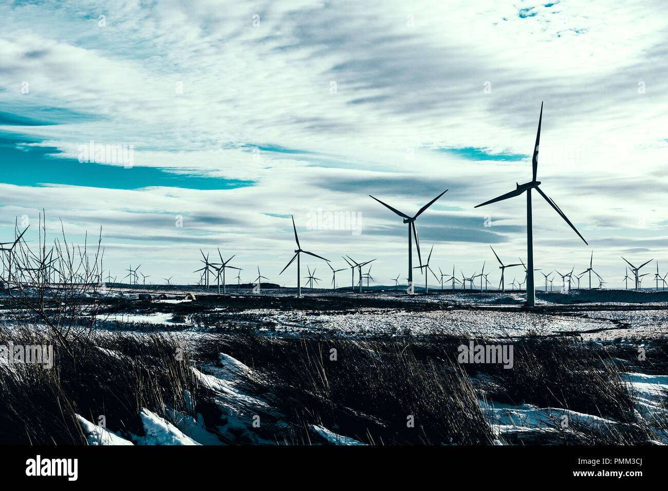 Éoliennes à Whitelee Wind Farm, en Écosse. Banque D'Images