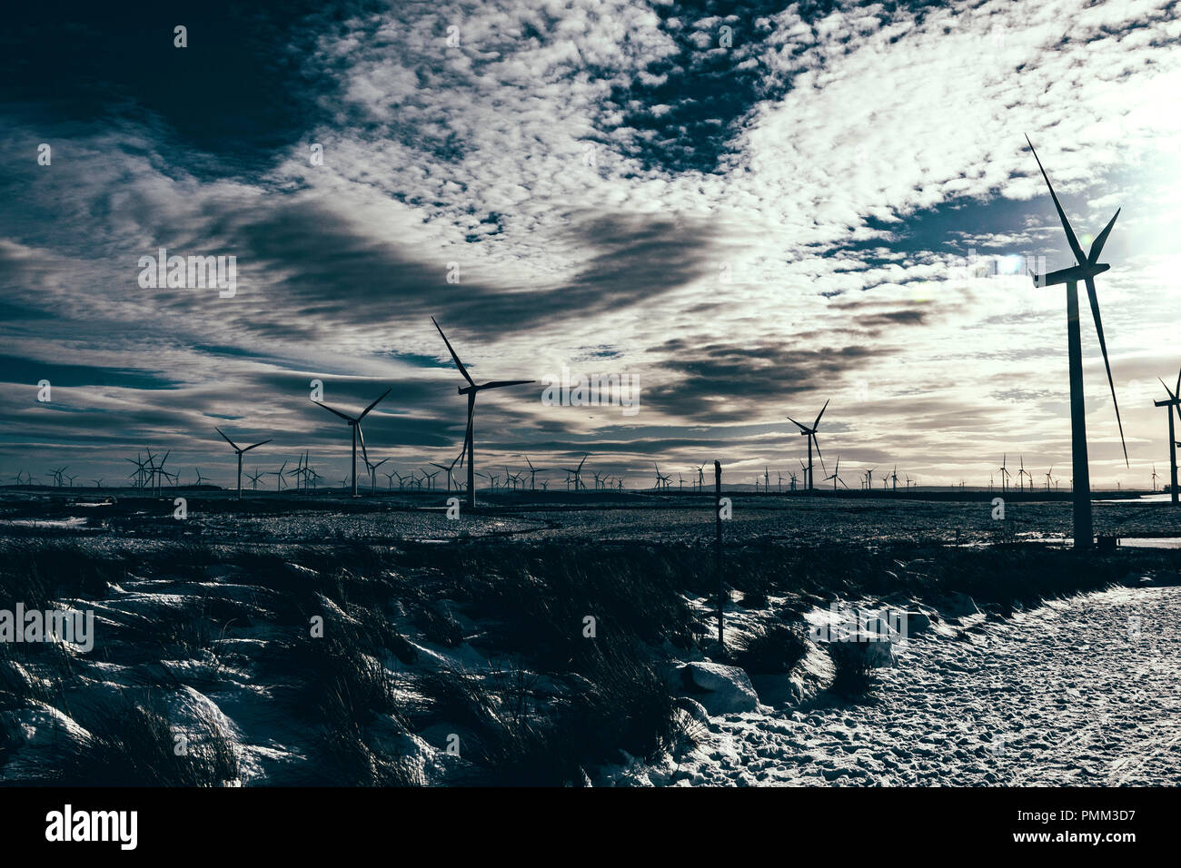 Éoliennes à Whitelee Wind Farm, en Écosse. Banque D'Images