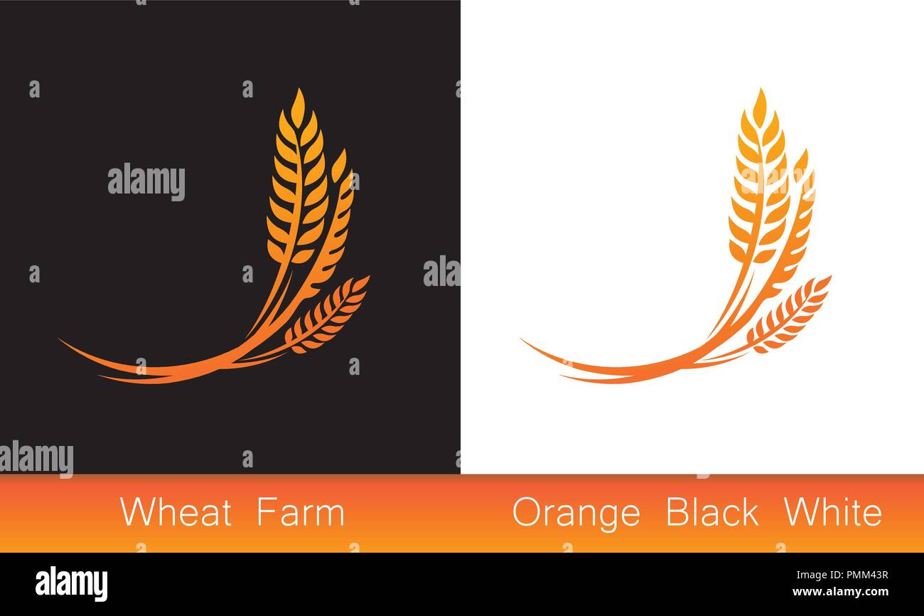 Ensemble d'icônes, des épis de blé, illustration vectorielle, icône de qualité premium produit agricole sur fond noir et blanc. Illustration de Vecteur