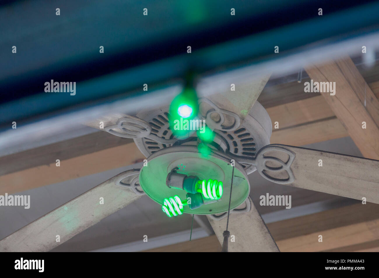 Ventilateur de plafond décoré pour le jour de rue Patrick parade sur Magazine Street à New Orleans Banque D'Images