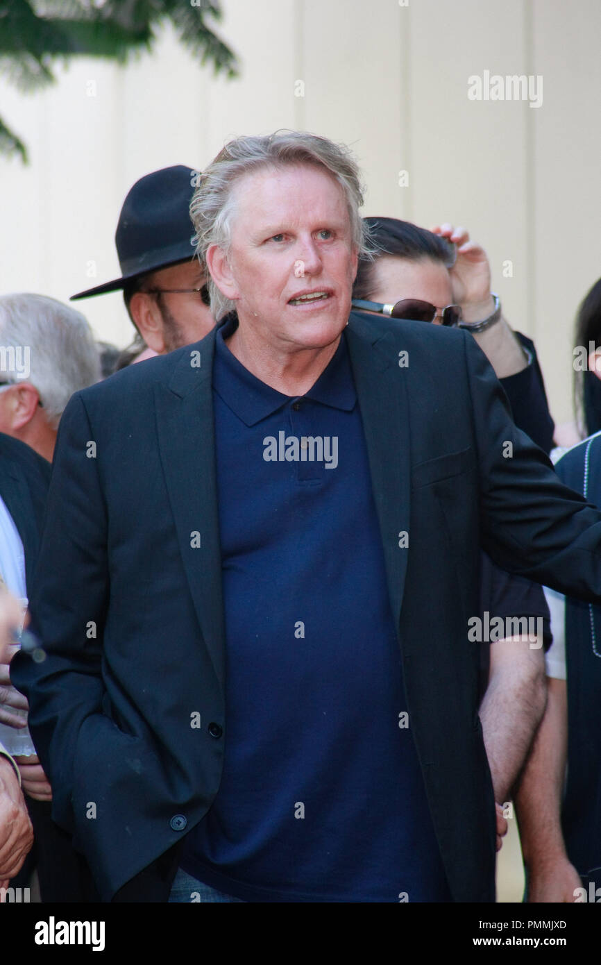 Gary Busey au Hollywood Chamber of Commerce cérémonie pour honorer, à titre posthume, Buddy Holly avec une étoile sur le Hollywood Walk of Fame à Hollywood, CA, le 7 septembre 2011. Photo par Joe Martinez / PictureLux Banque D'Images