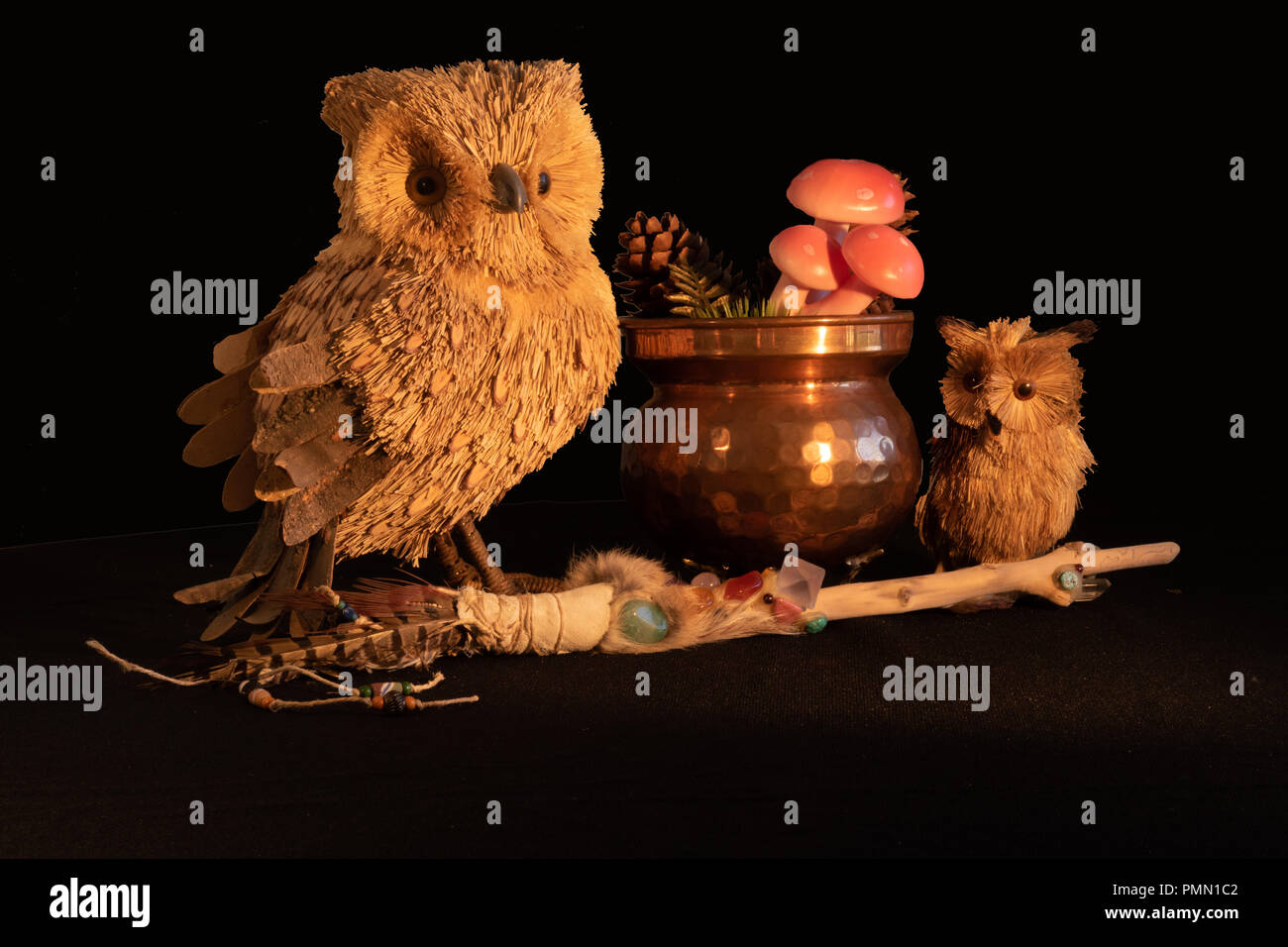 Chaudron en cuivre avec des champignons et des pommes de pin, d'une baguette magique avec des cristaux de quartz et d'améthyste et d'un hibou la mère et l'enfant fait à partir de matériau naturel o Banque D'Images
