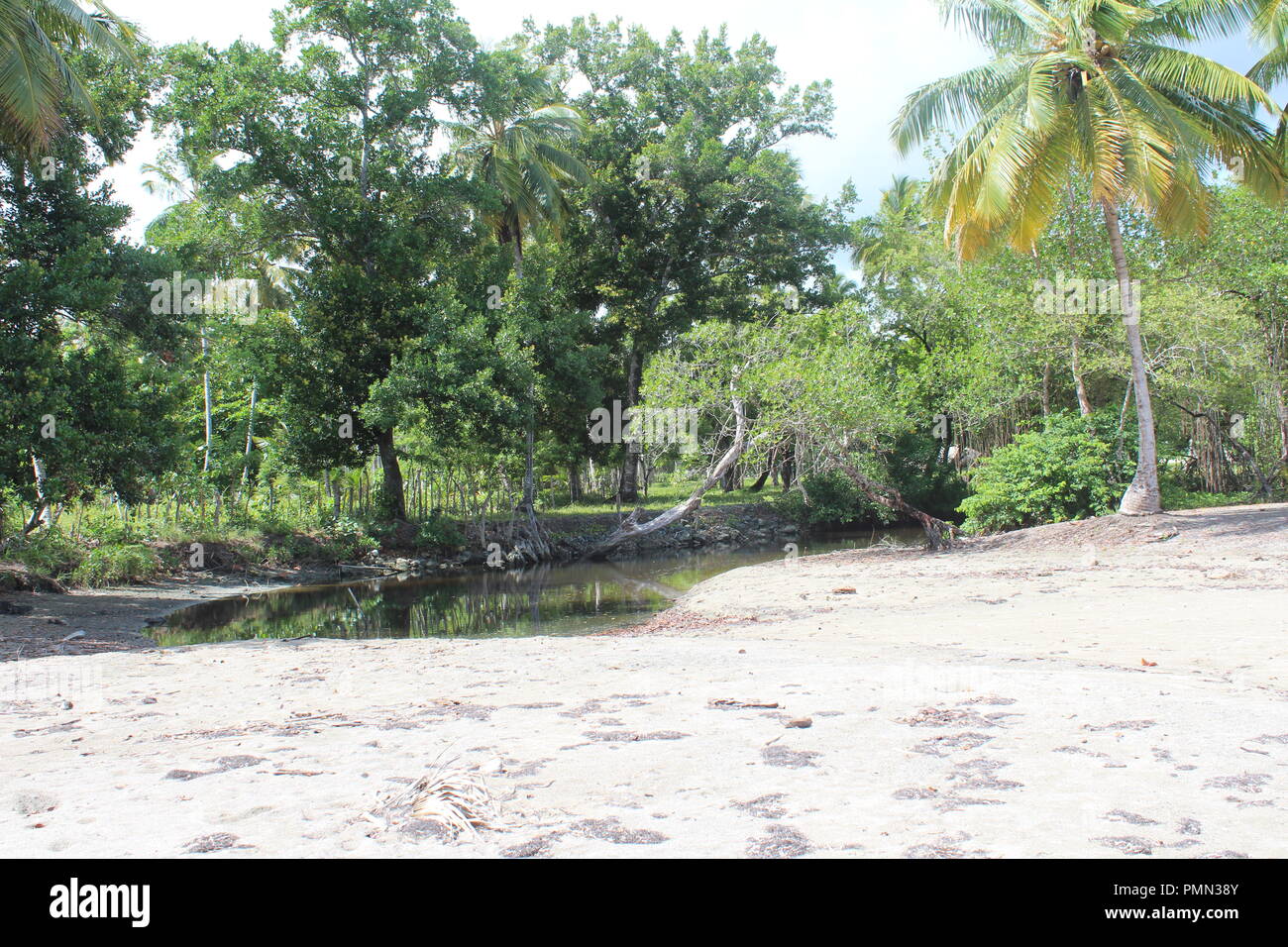 Des méandres de la rivière à la plage sur une île tropicale Banque D'Images