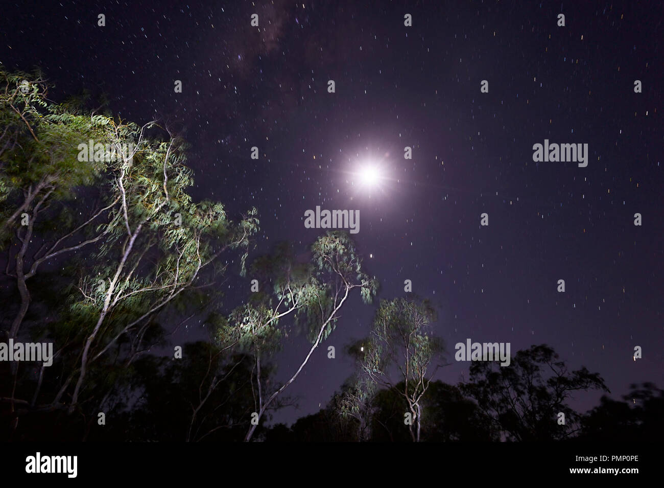 Ciel de nuit sur Emu Creek, près de Petford, Nord du Queensland, Queensland, Australie Banque D'Images