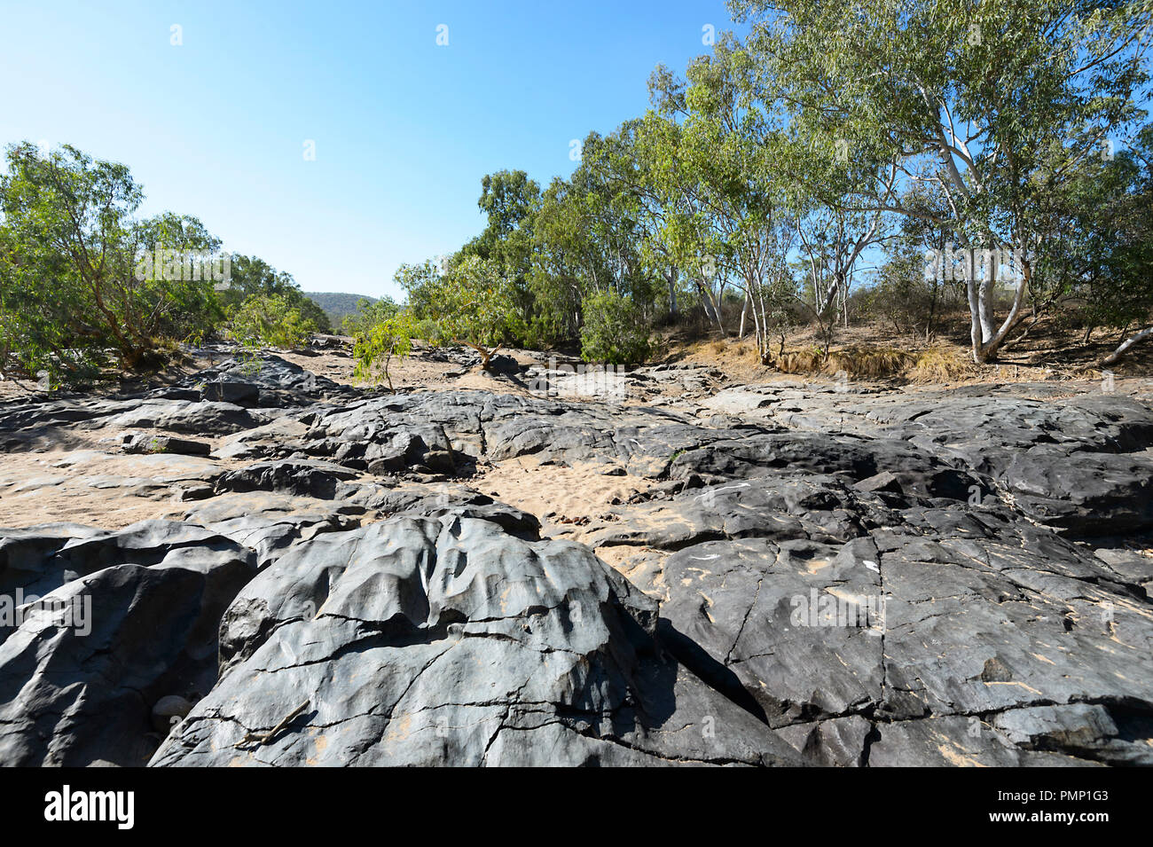 Riverbed séchés ou crique dans l'UEM Creek pendant la saison sèche, près de Petford, Nord du Queensland, Queensland, Australie Banque D'Images