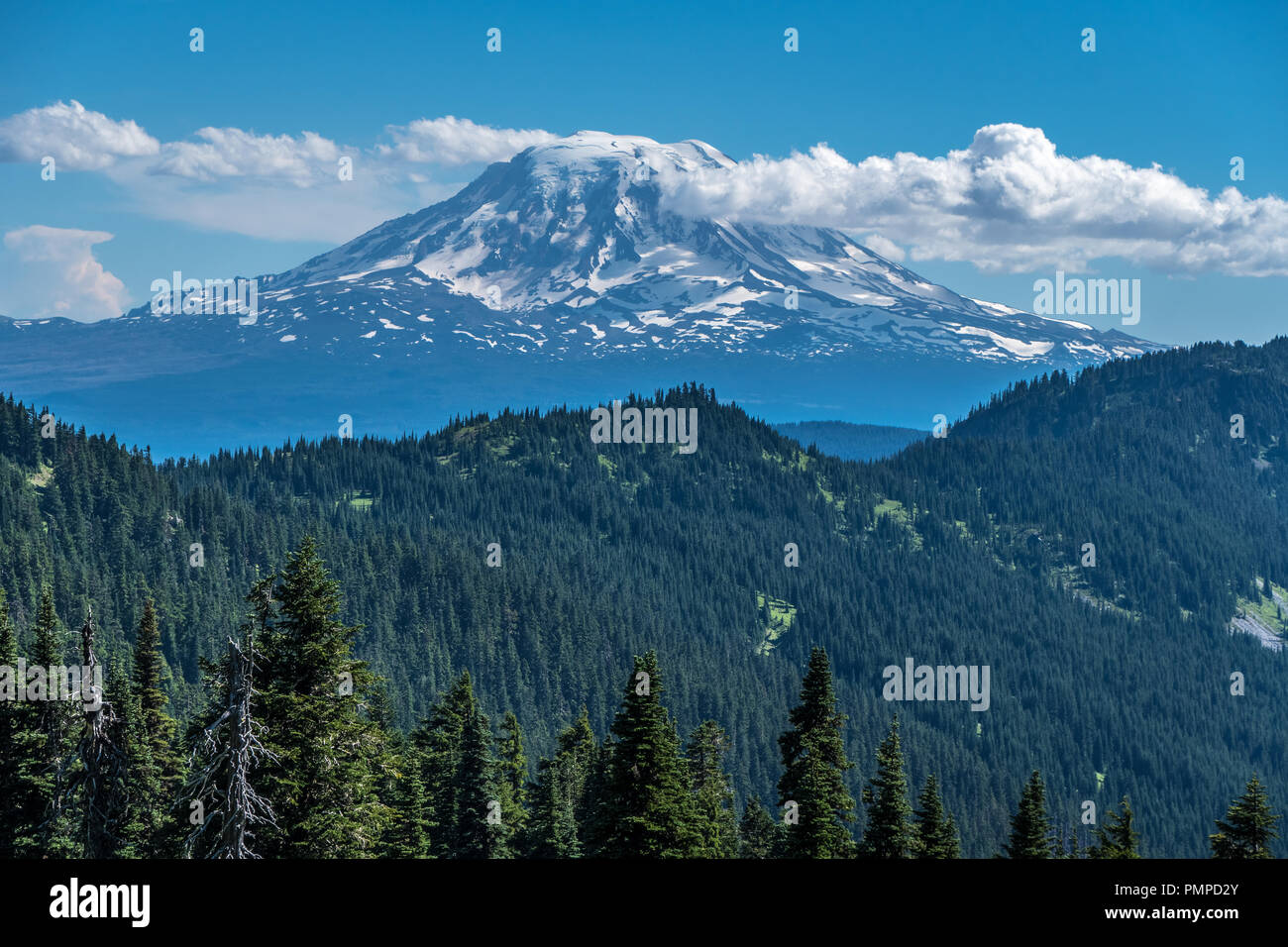 Le Mont Adam vue depuis le Pacific Crest Trail, Washington Banque D'Images