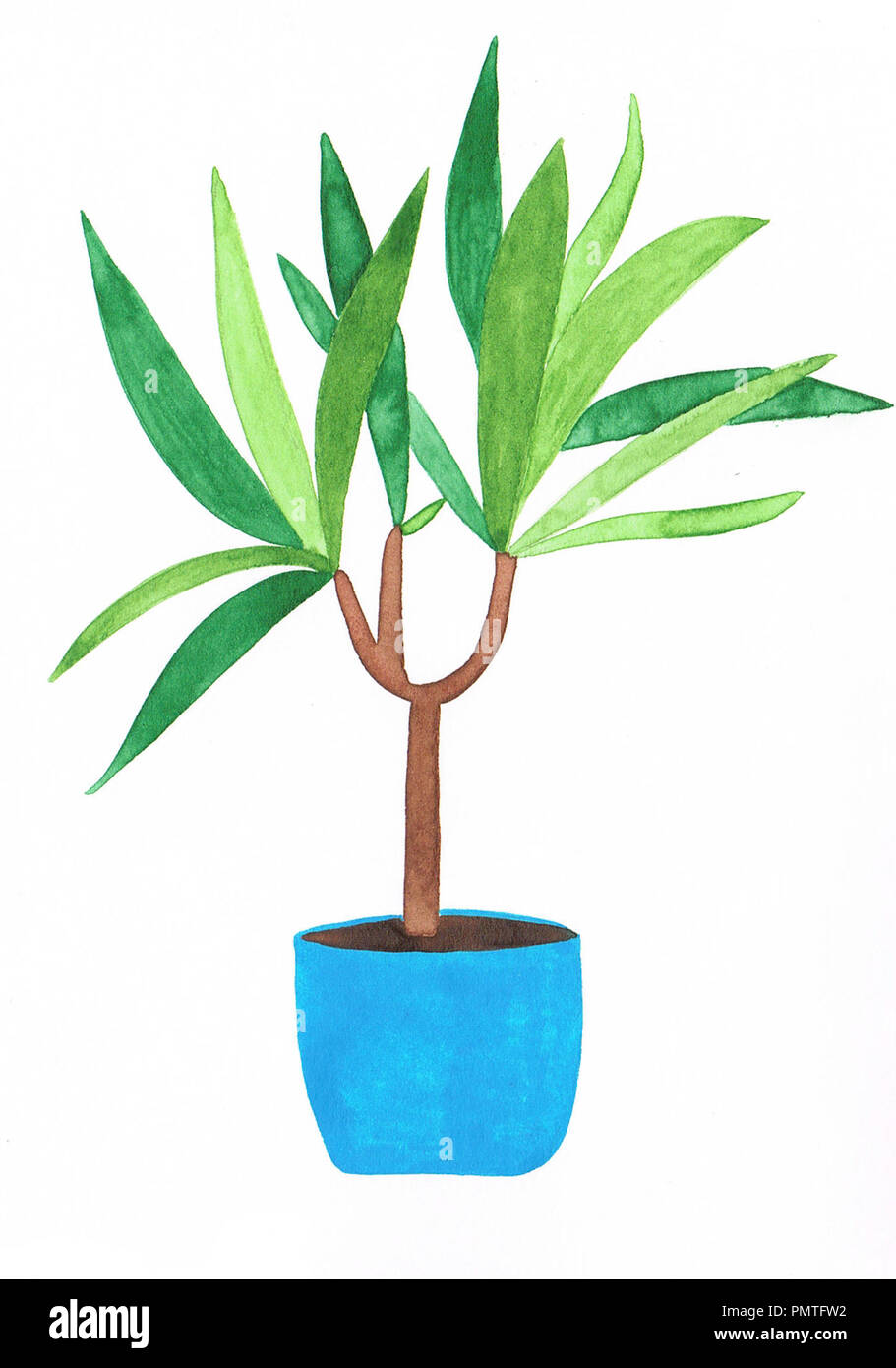 Aquarelle peinture main dans un Dracaena pot de fleurs bleu Banque D'Images