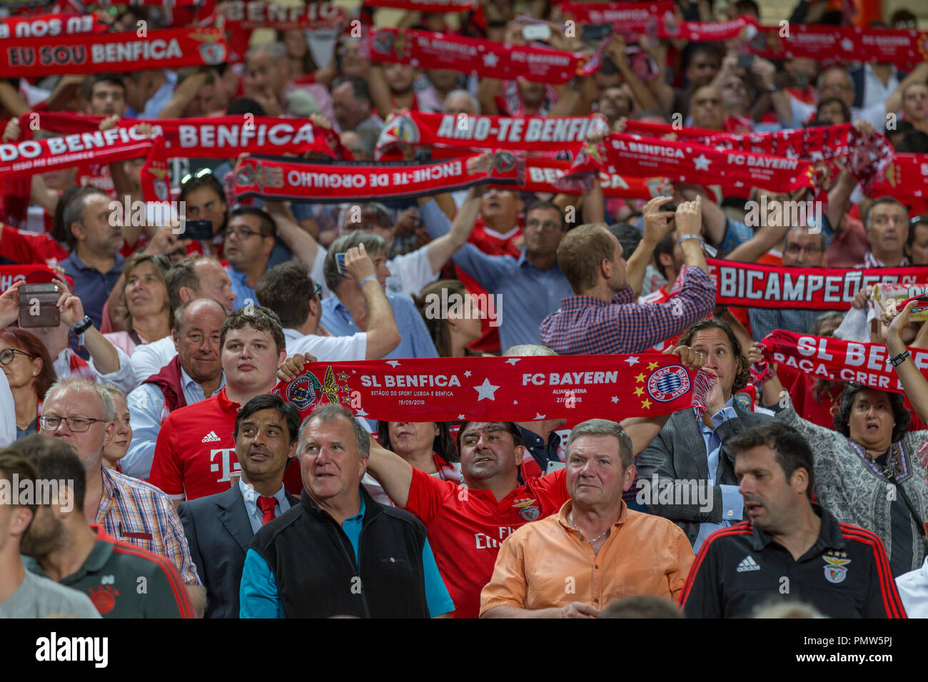 Lisbonne, Portugal. 19 sept 2018. Benfica partisans pendant le jeu du 1er  tour du groupe E de la Ligue des Champions, SL Benfica vs Bayern Munchen ©  Alexandre de Sousa/Alamy Live News