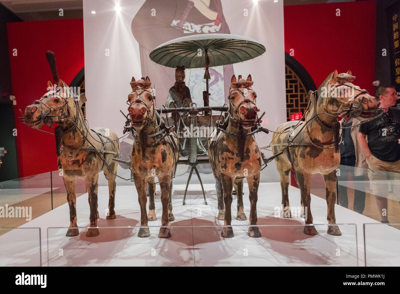 Liverpool William Brown Street World Museum Le Premier Empereur de Chine et les guerriers de terre cuite du char quatre chevaux Banque D'Images