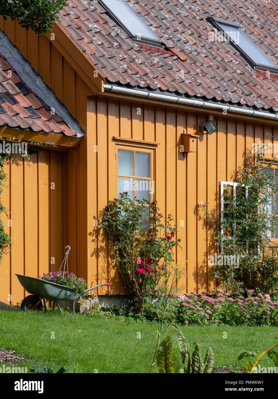 Jardin et joli cottage de couleur orange à Stavanger, Norvège Banque D'Images