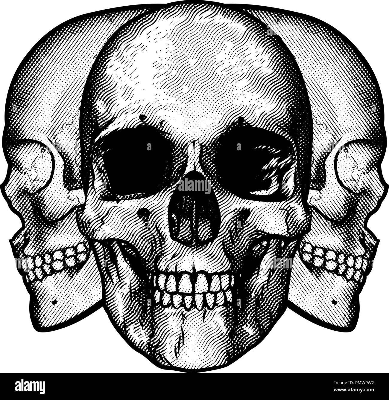 Design graphique crânes Illustration de Vecteur