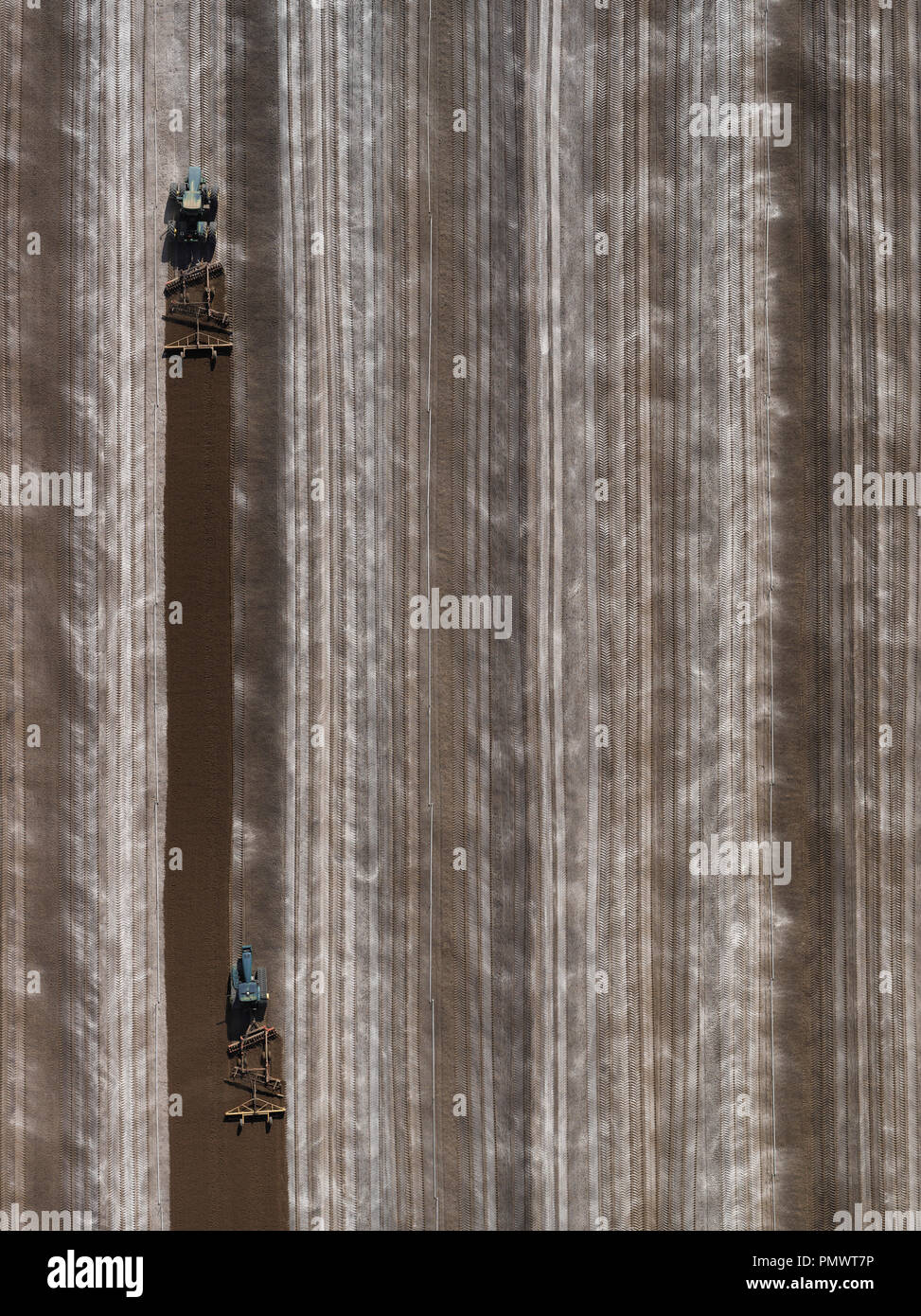 Vue aérienne des tracteurs agricoles Champ de labour, Bakersfield, California, USA Banque D'Images